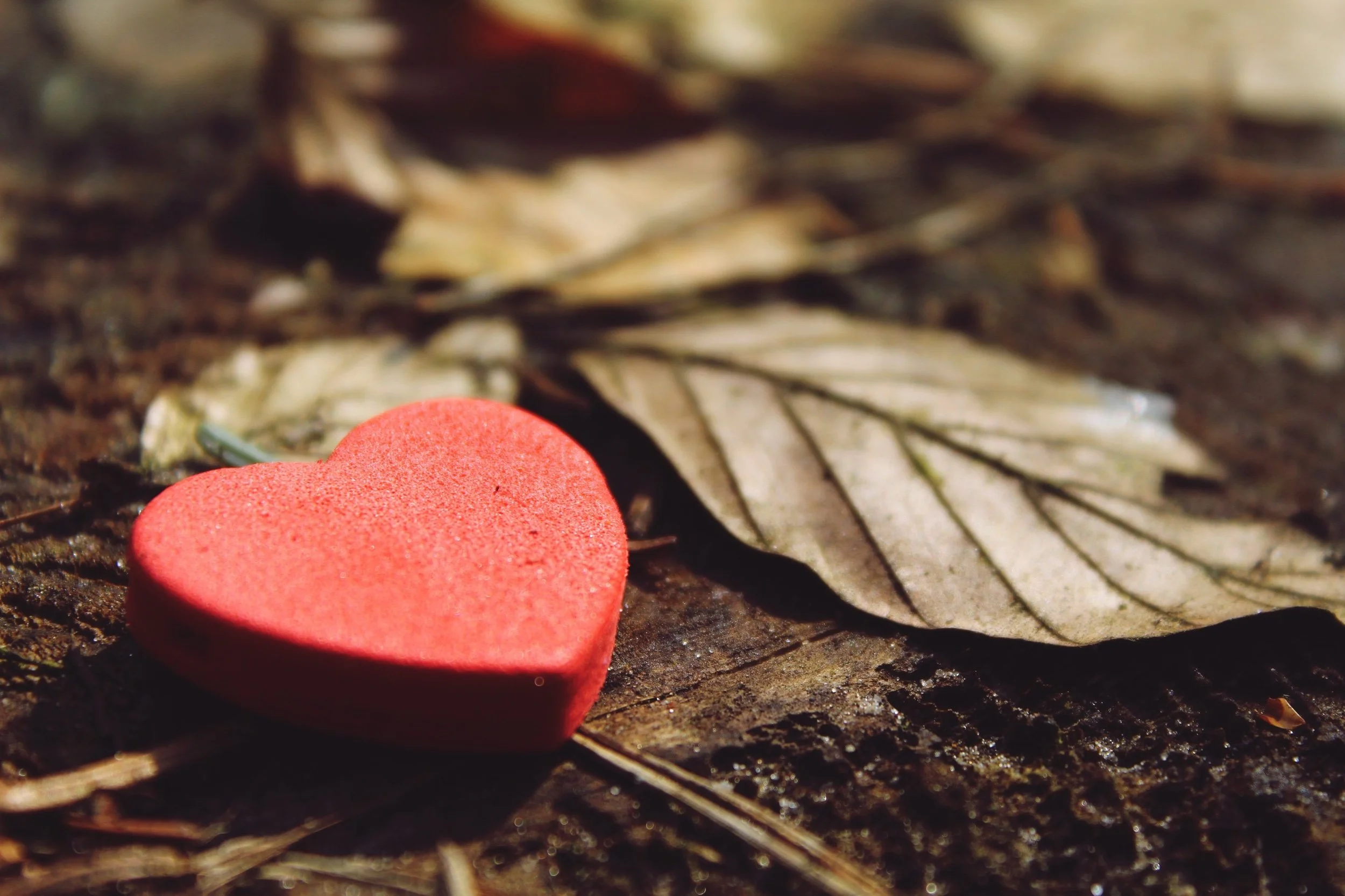 A Piece of My Heart By Candace Byrnes