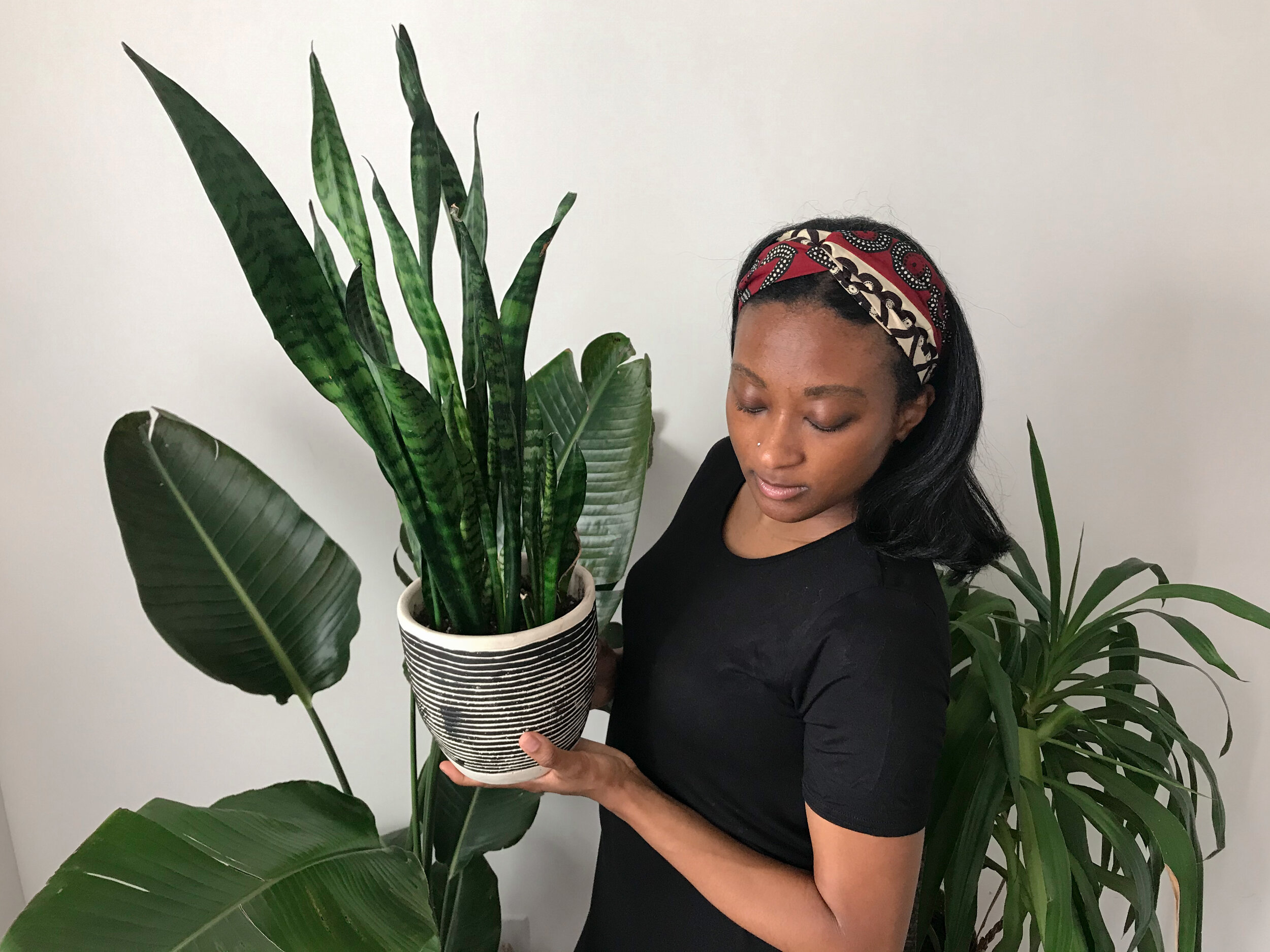 Mindful plant care:  A meditation repotting exercise