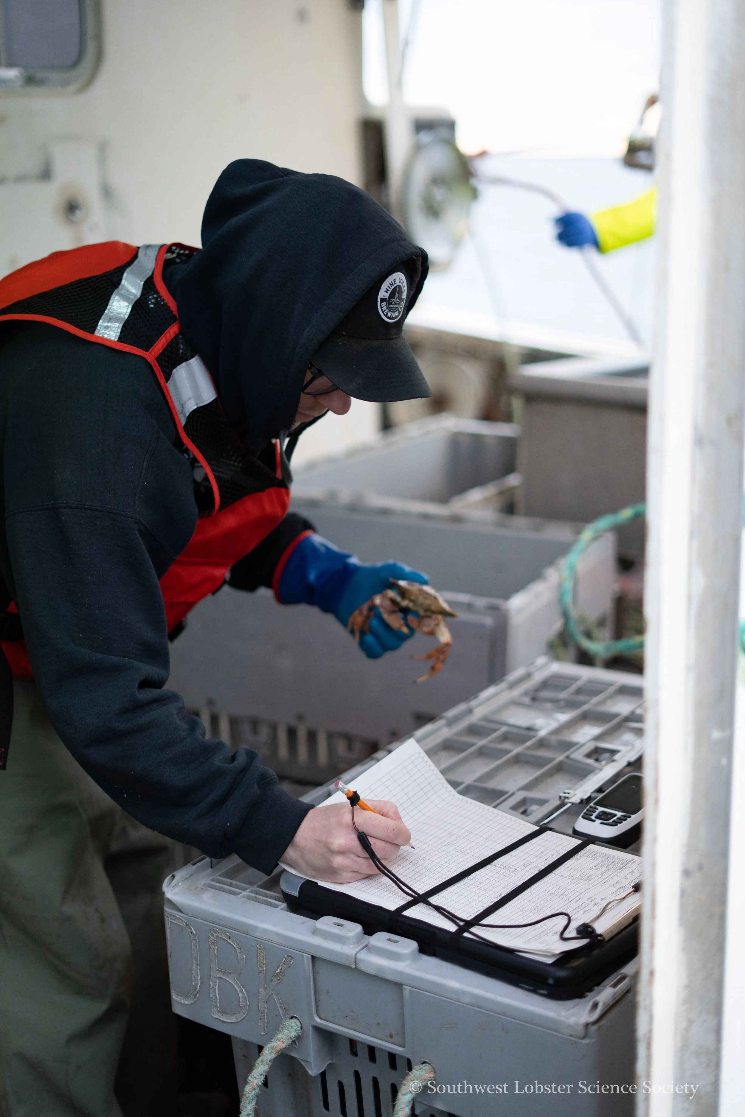 Measuring_Crab_Bycatch_1.jpg