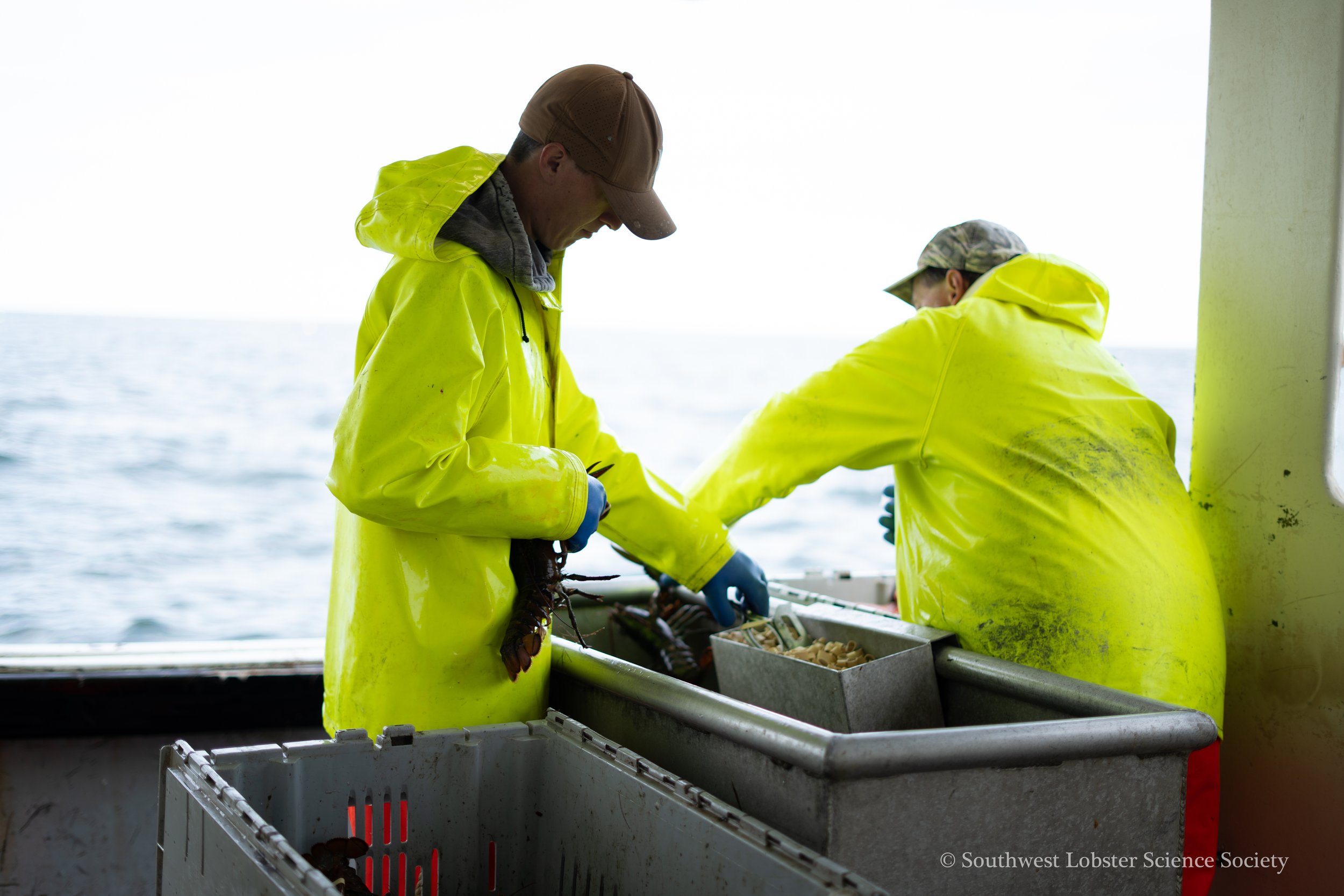 Fishermen_Banding_1.jpg