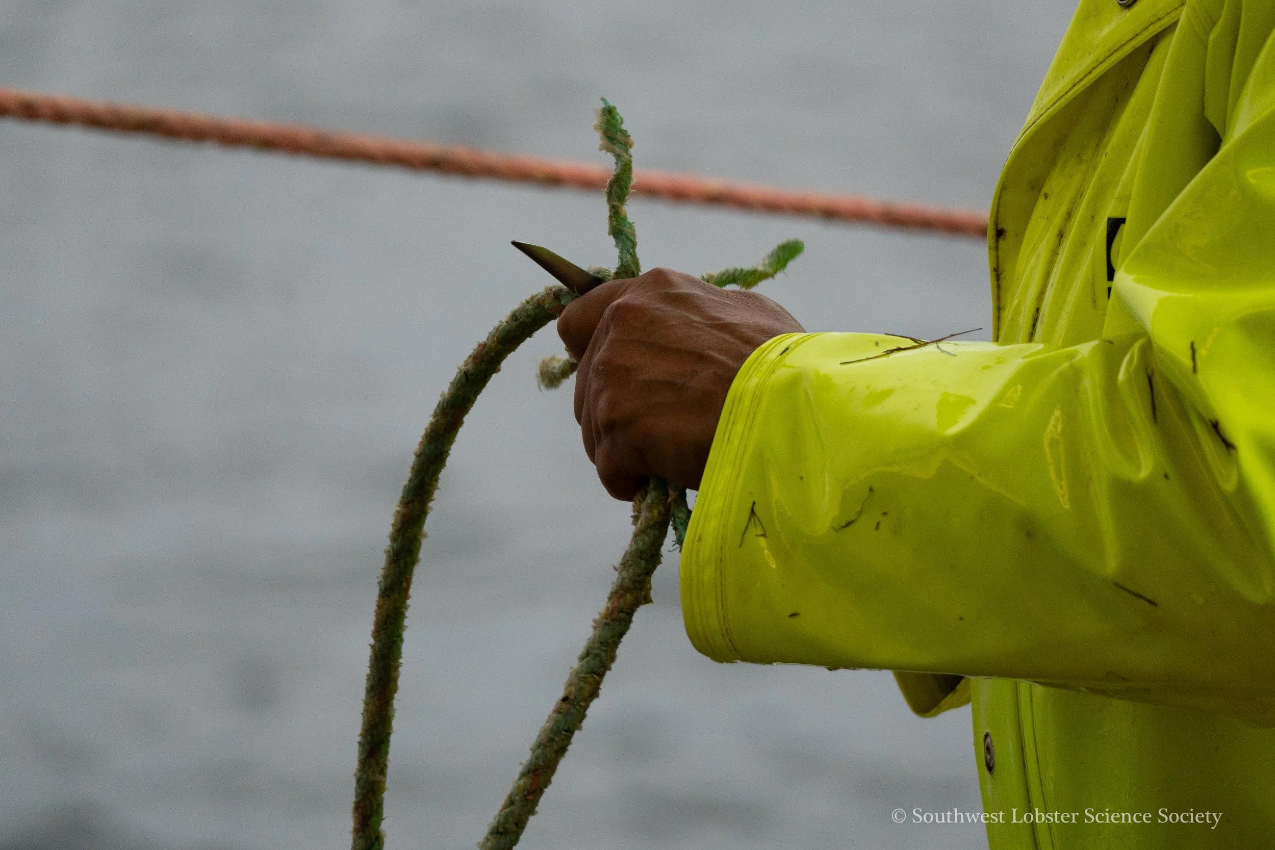 Splicing_Rope_2.jpg