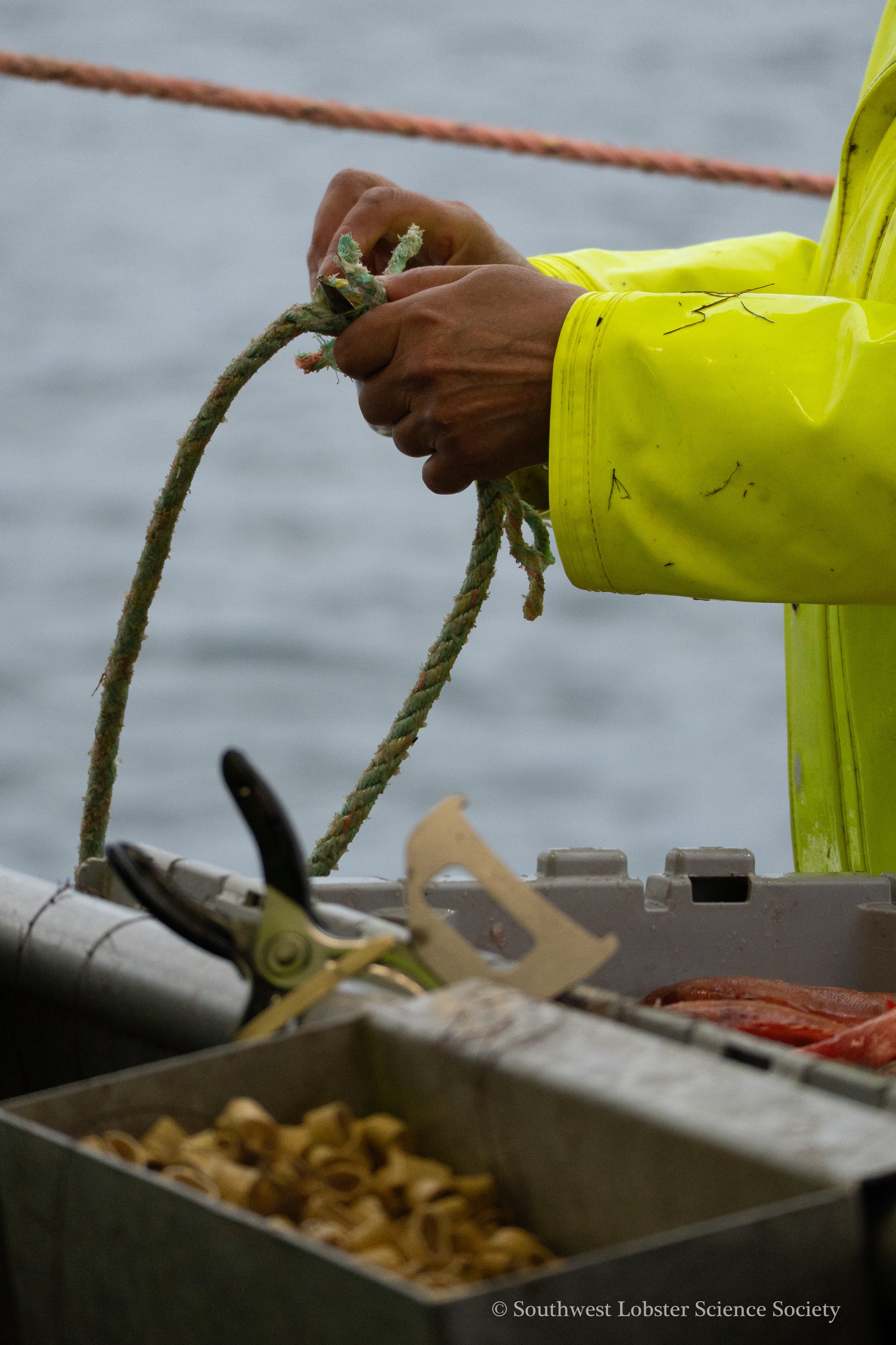 Splicing_Rope_1.jpg
