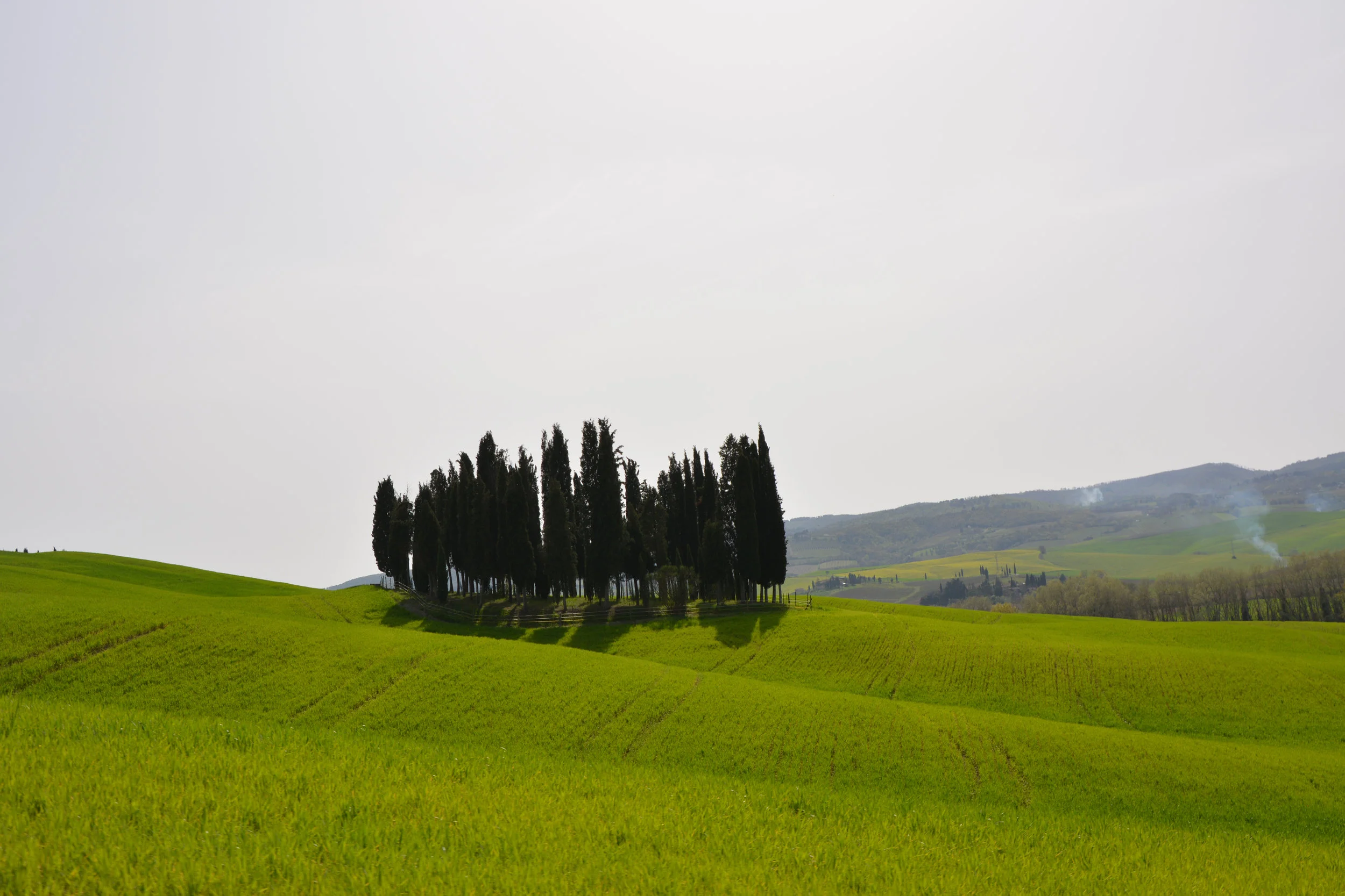 DSC_0795.jpg