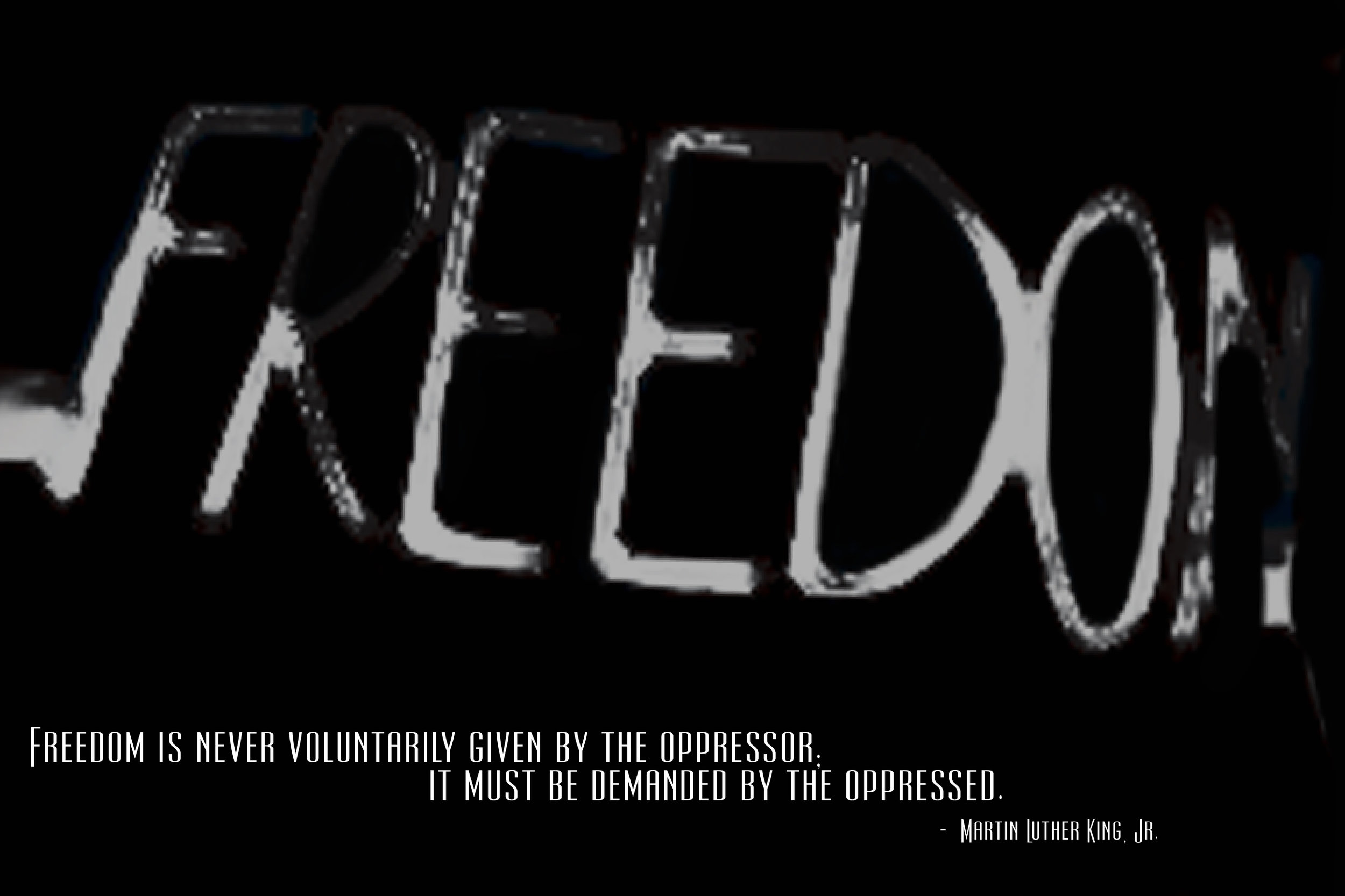 MLKjr_freedom_web.jpg