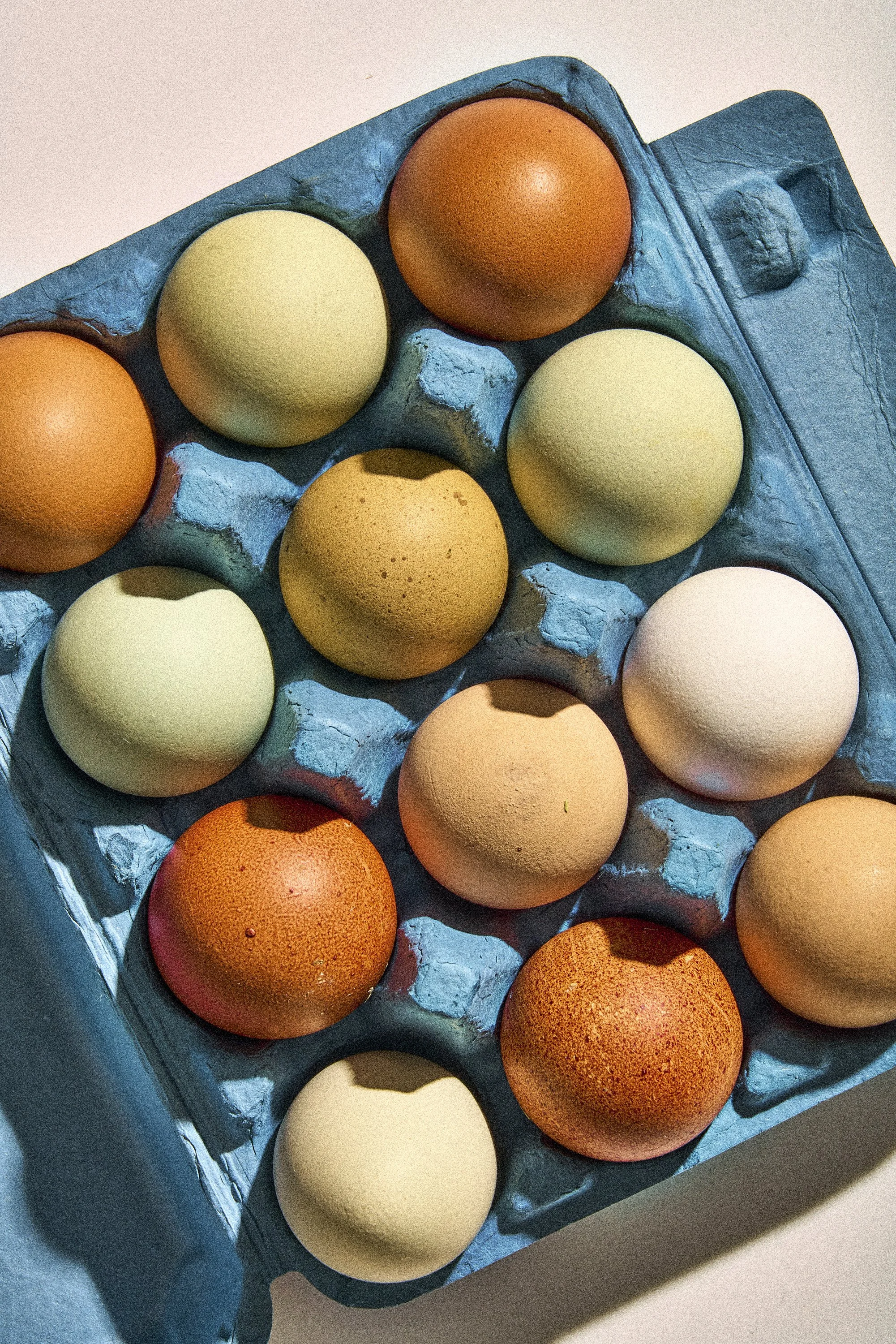 WP_VM_Egg_WorldBuilding_MacroFood_16_2x3_Web.jpg