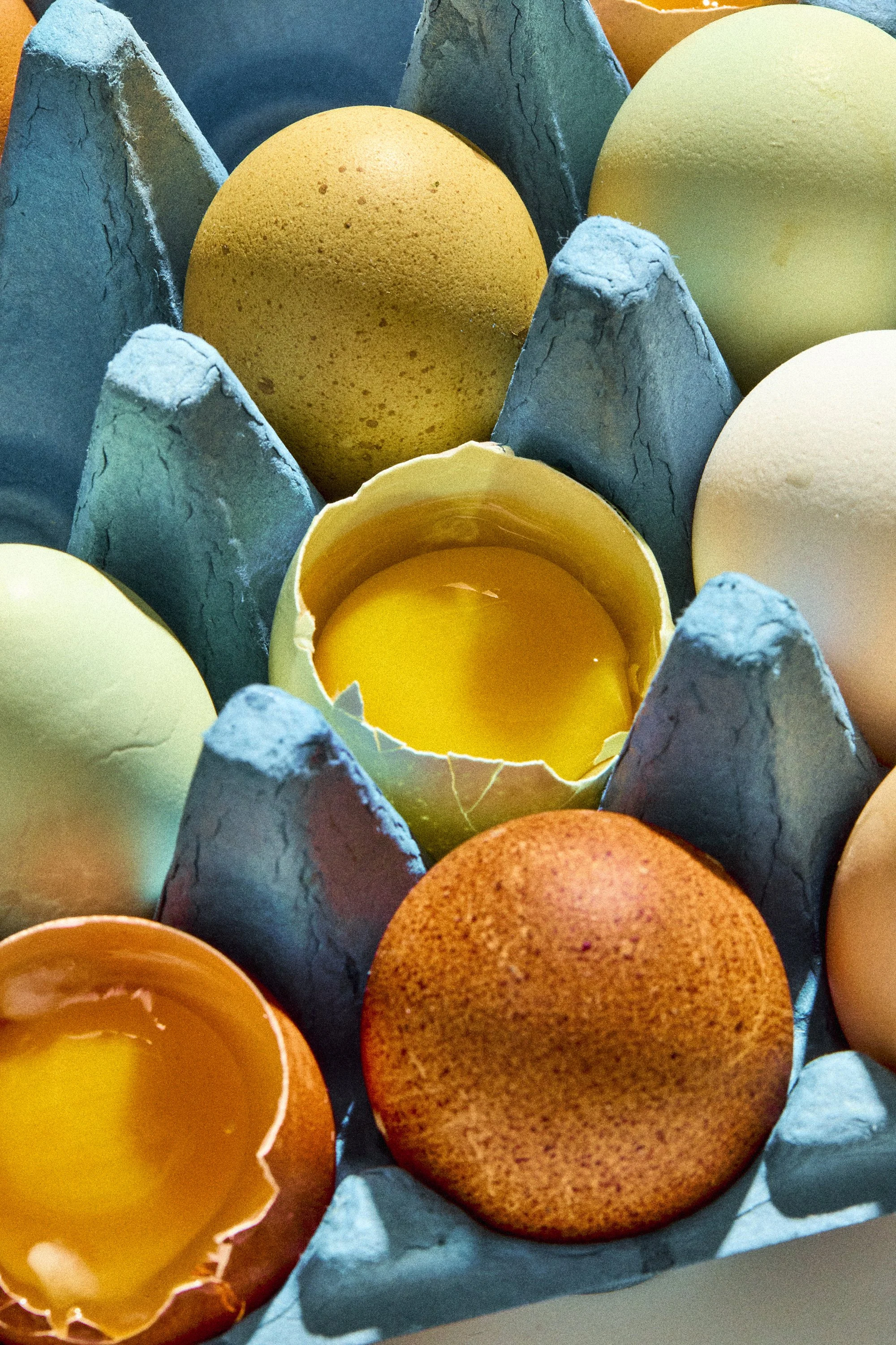 WP_VM_Egg_WorldBuilding_MacroFood_18_2x3_Web.jpg