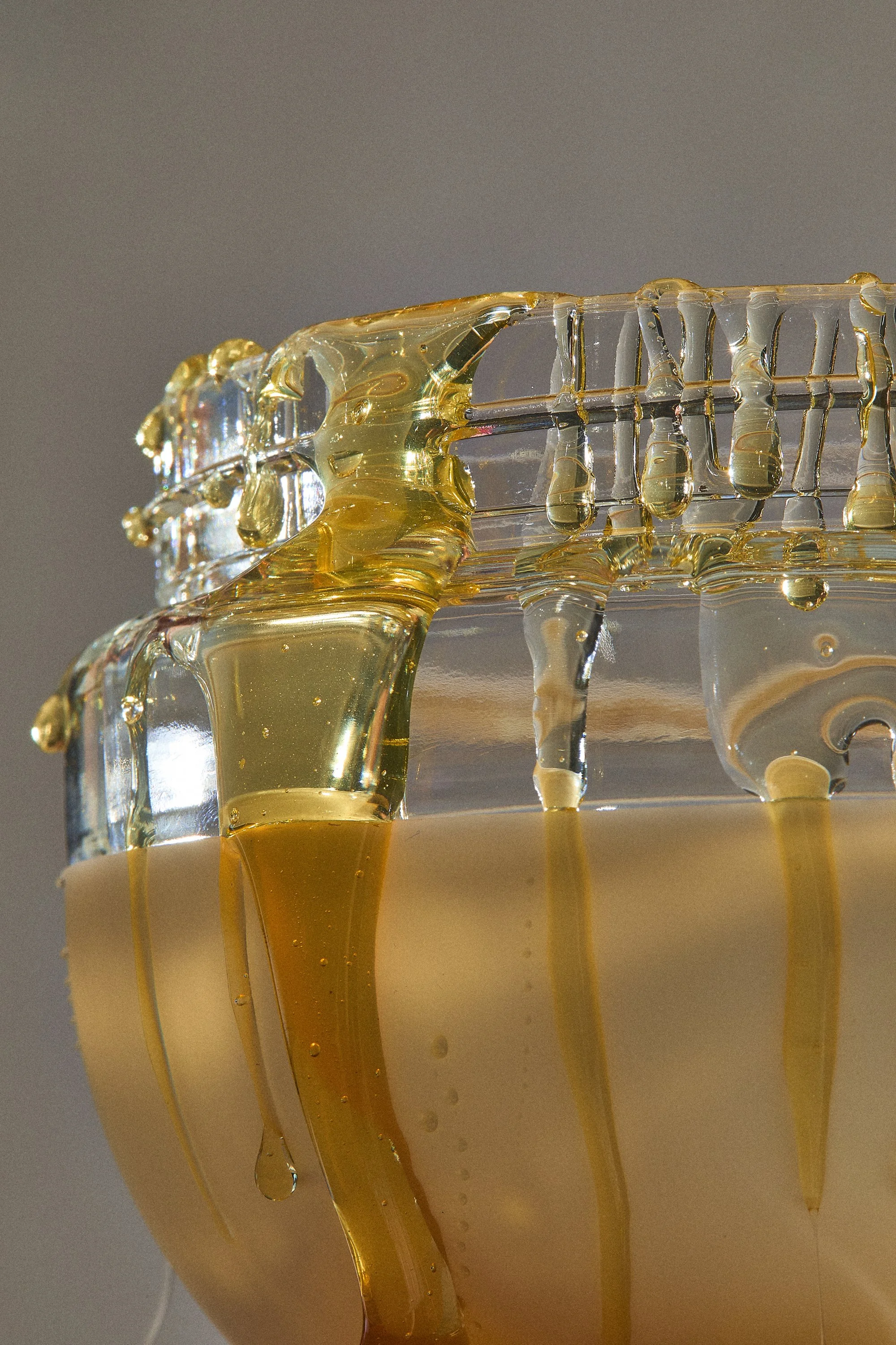 WP_VM_Honey_WorldBuilding_MacroFood_10_2x3_Web.jpg