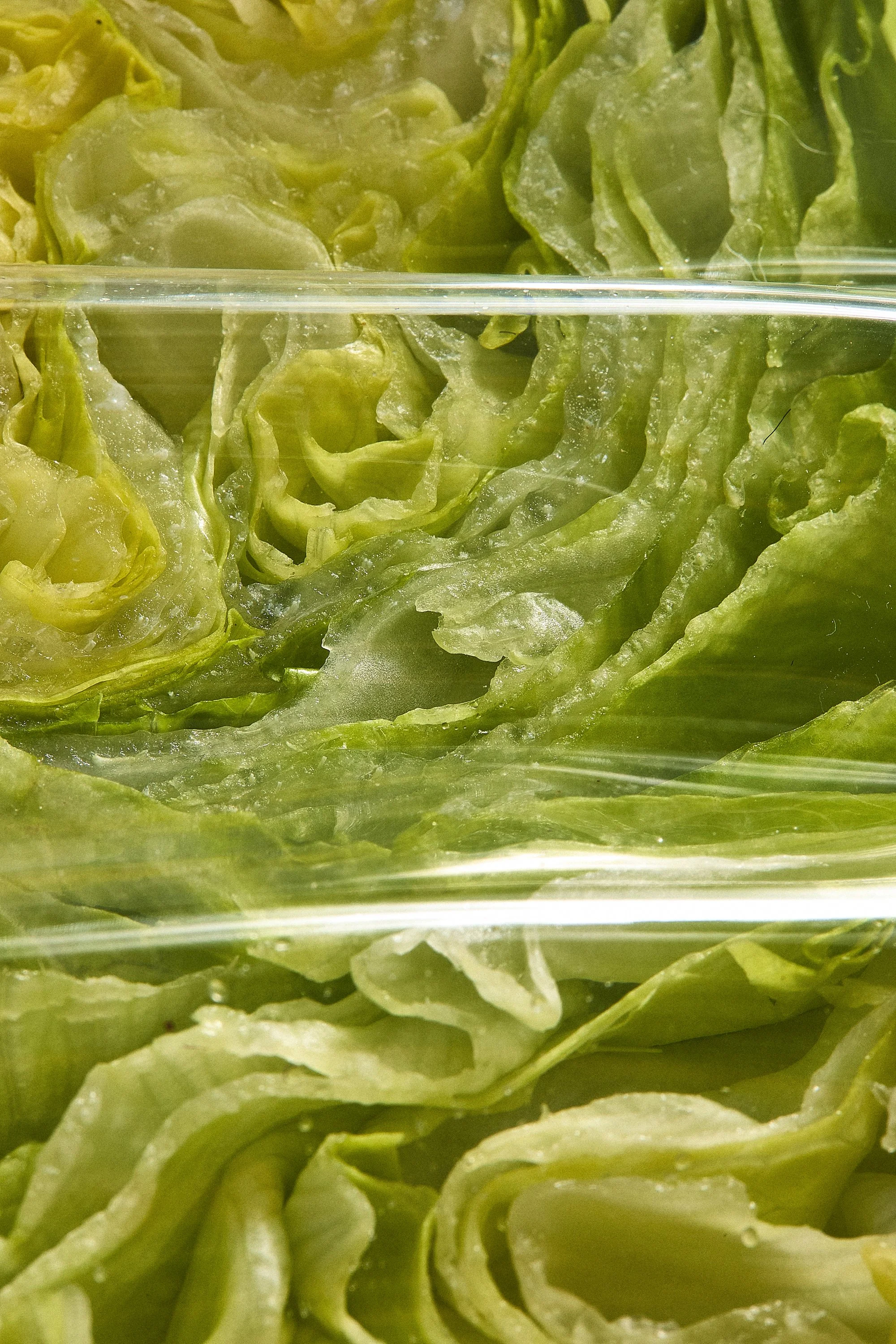 WP_VM_Lettuce_WorldBuilding_MacroFood_03_2x3_Web.jpg