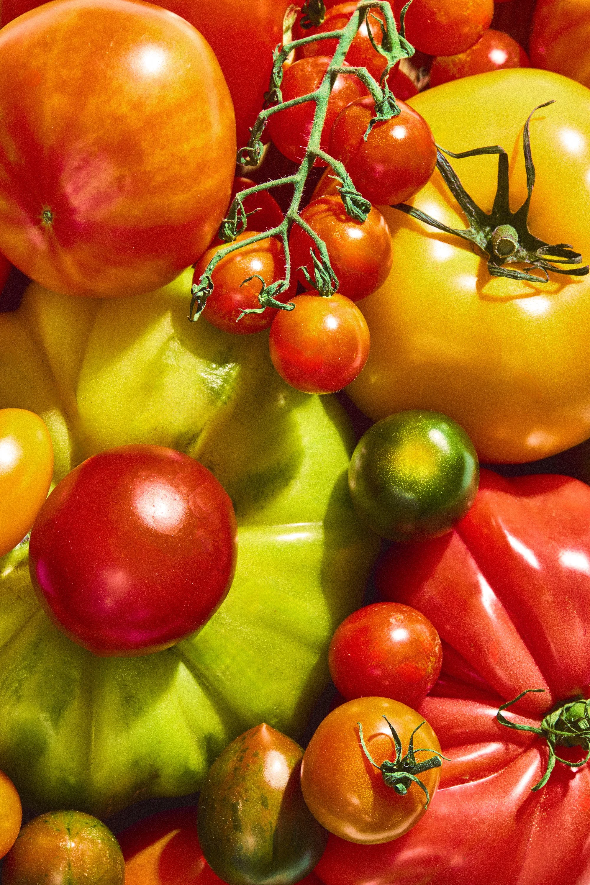 WP_VM_Tomatoes_WorldBuilding_MacroFood_01_2x3_Web.jpg