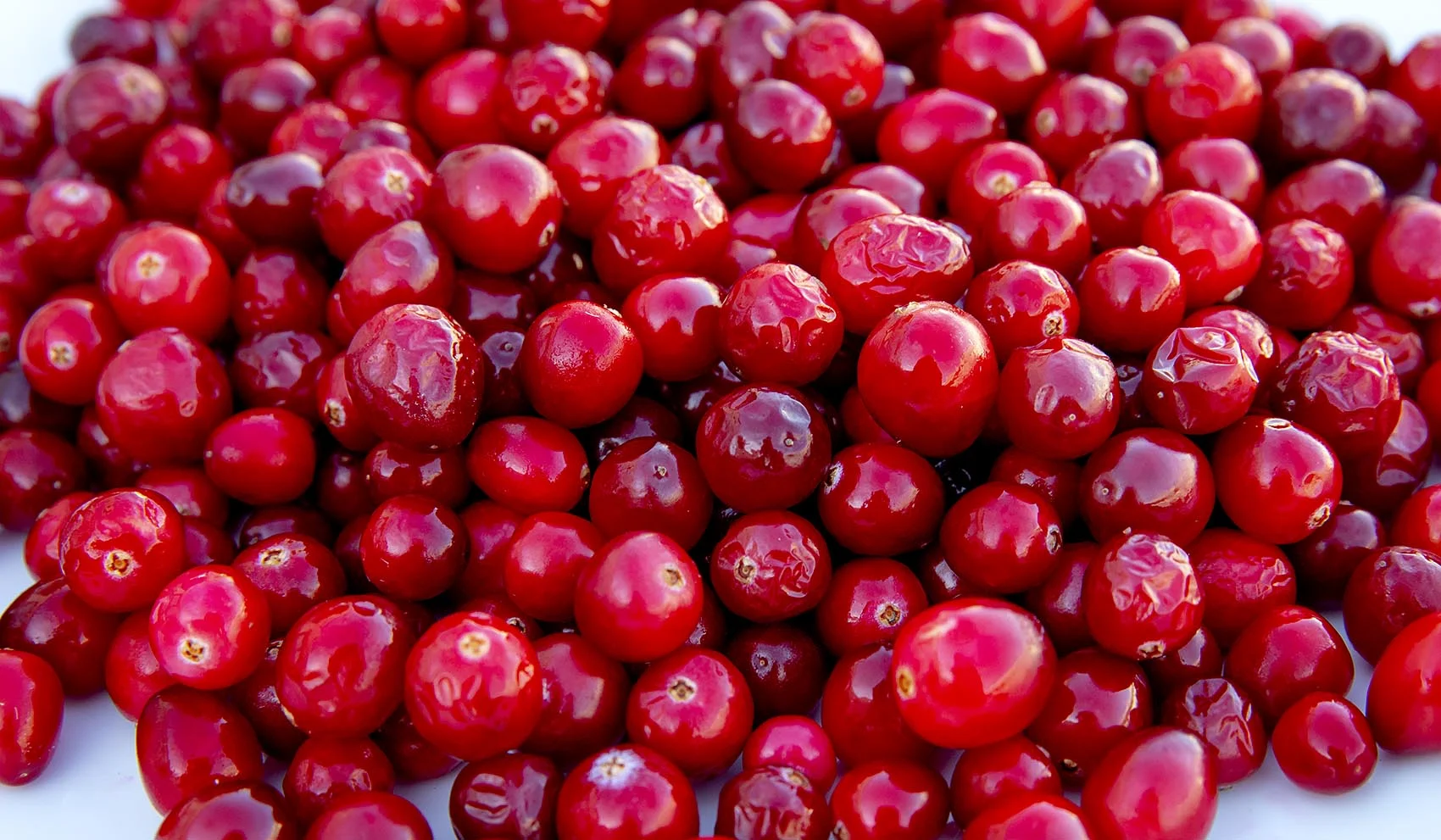 cranberries.jpg