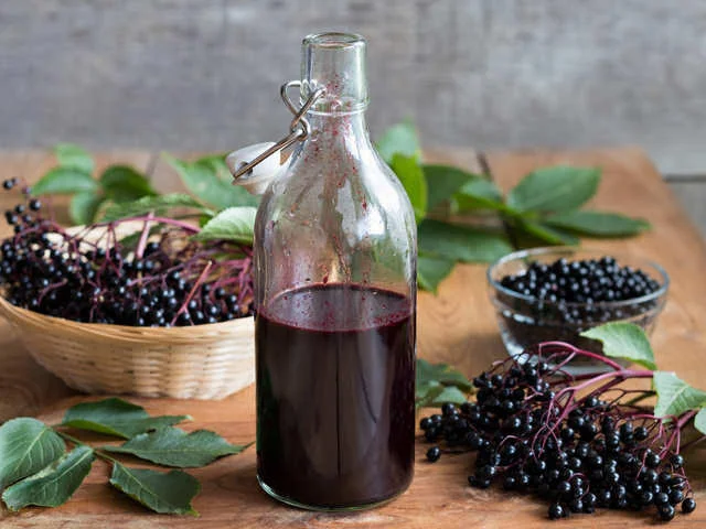 Elderberry-Juicing.jpg