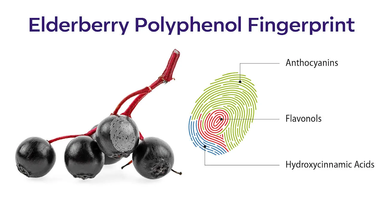Elderberry-Fingerprint.jpg