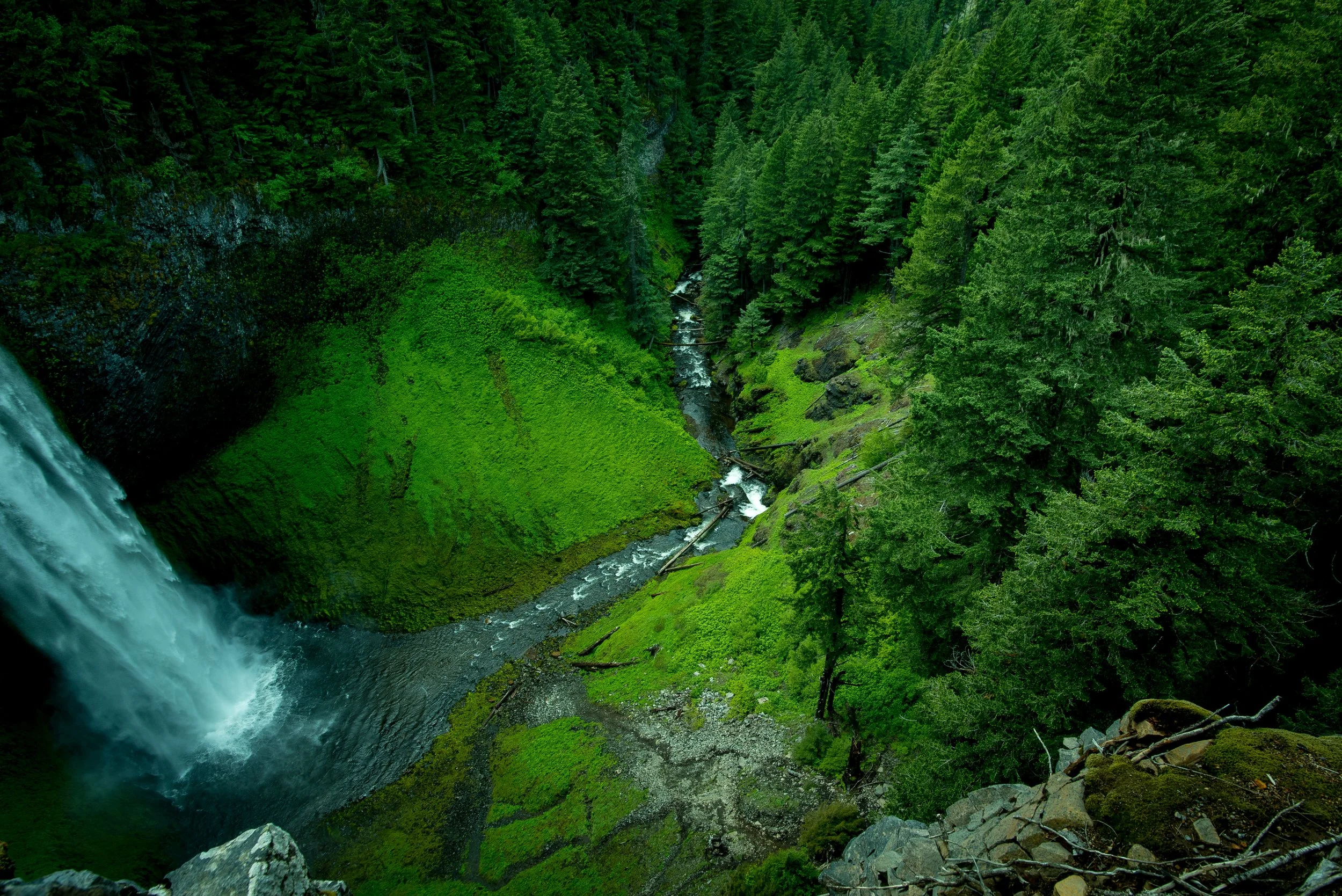 Photo by Nathan Anderson on Unsplash