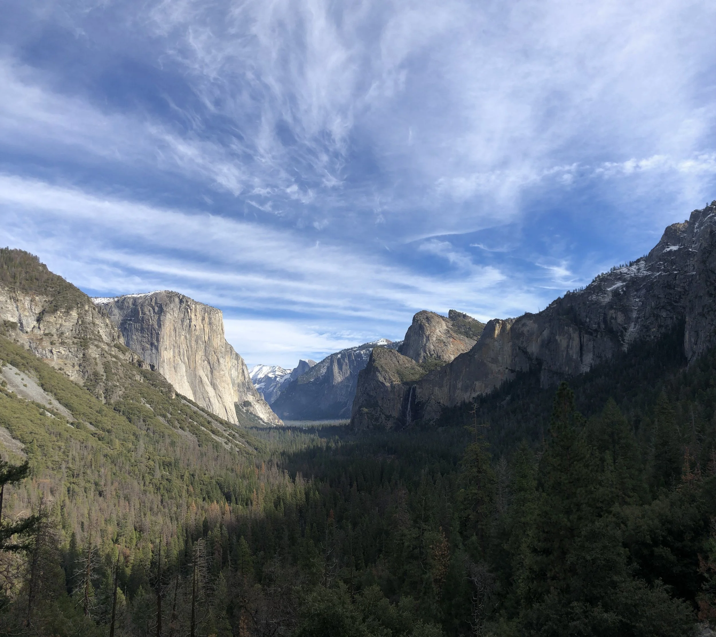 IMG_9812.jpg