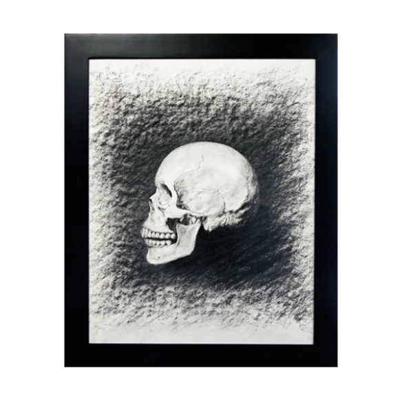 skull_drawing_nic_lebrun_art_aeipathy_charcoal.jpg