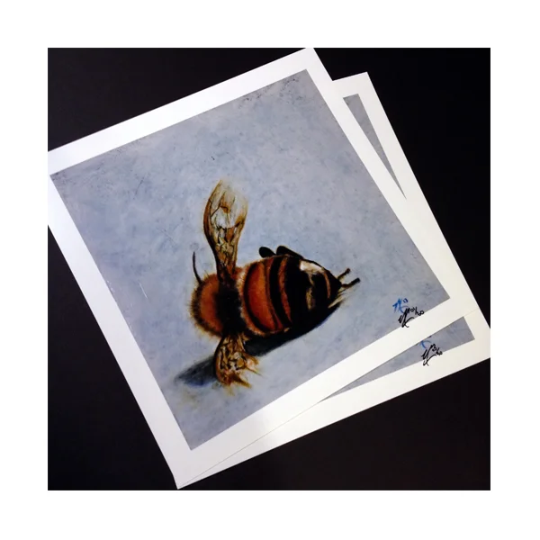 precipice_bee_prints_art.jpg