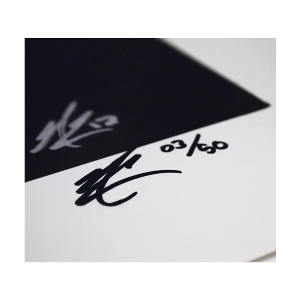nic_lebrun_art_giclee_print_signature_closeup_vulpes_fox_artist.jpg