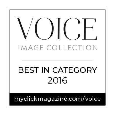 VOICE 2016_best.jpg