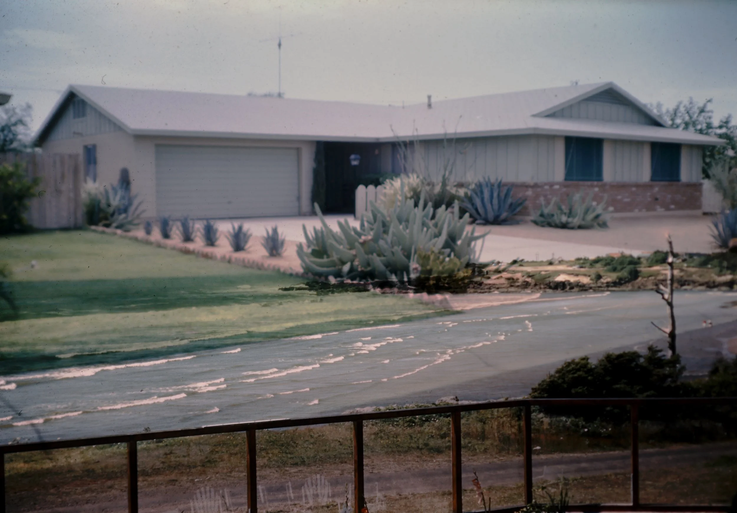 5L_Beach house.jpg