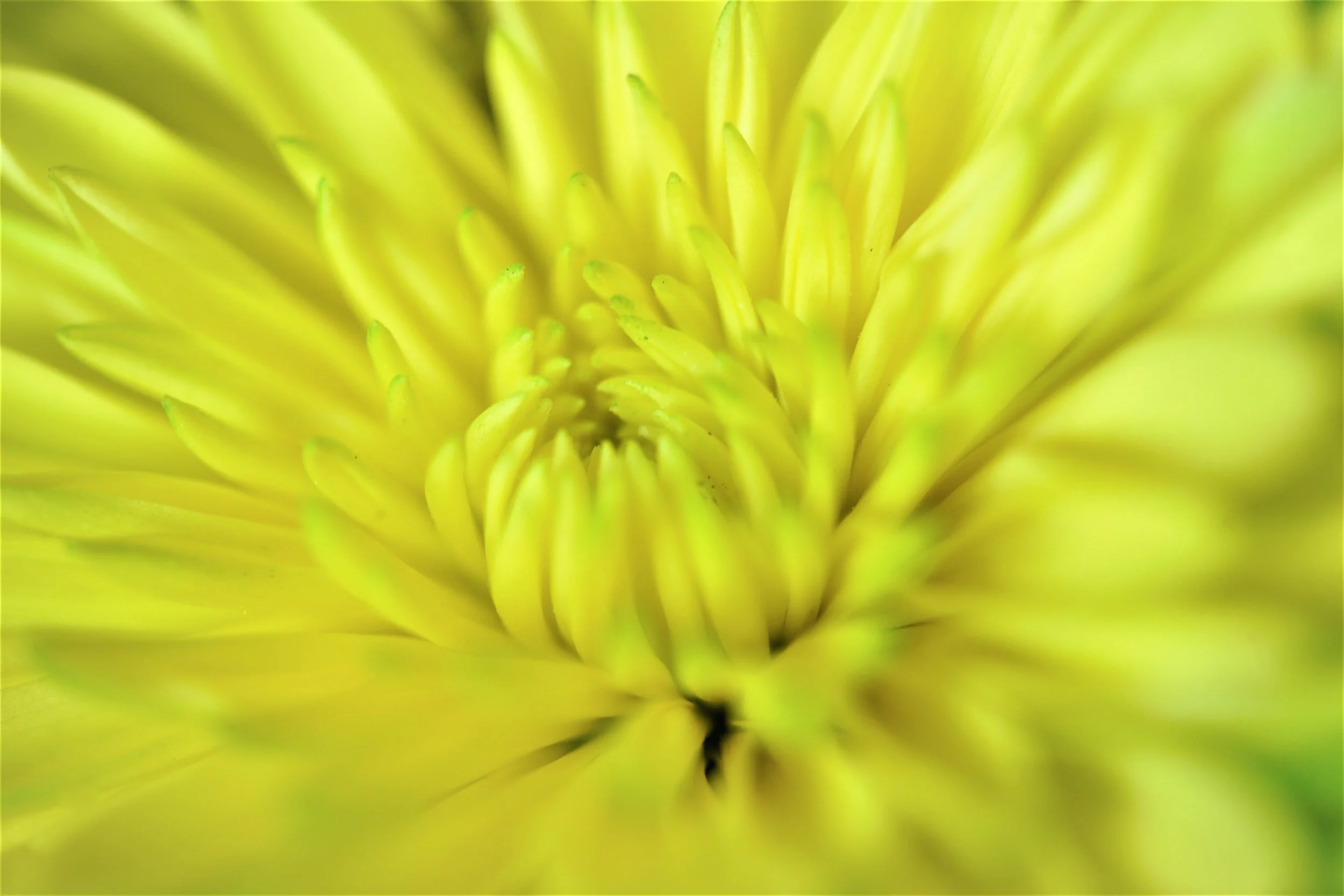 HOW TO USE MINDFULNESS TO ENRICH YOUR LIFE