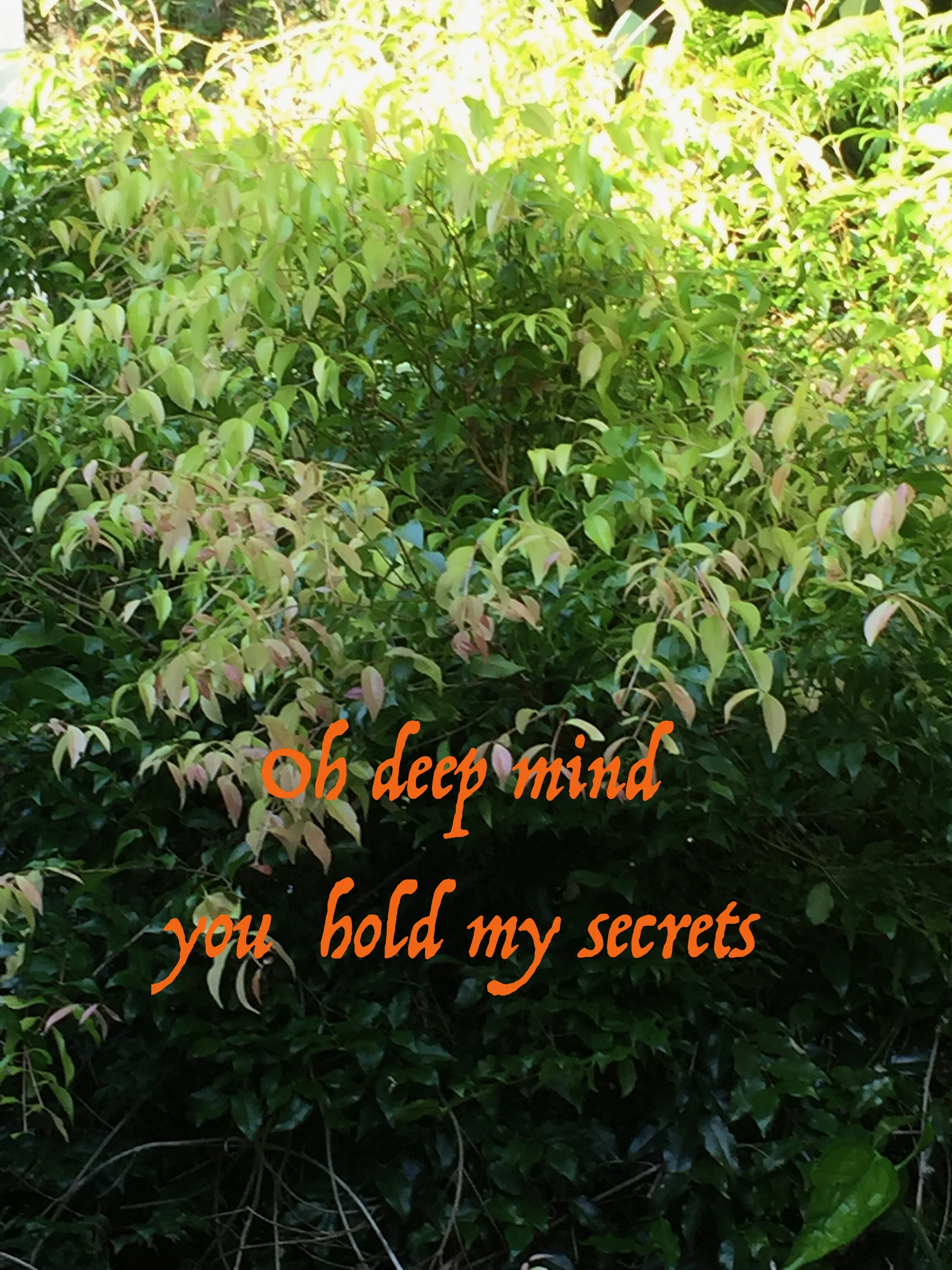 WHAT IS EMDR THERAPY  