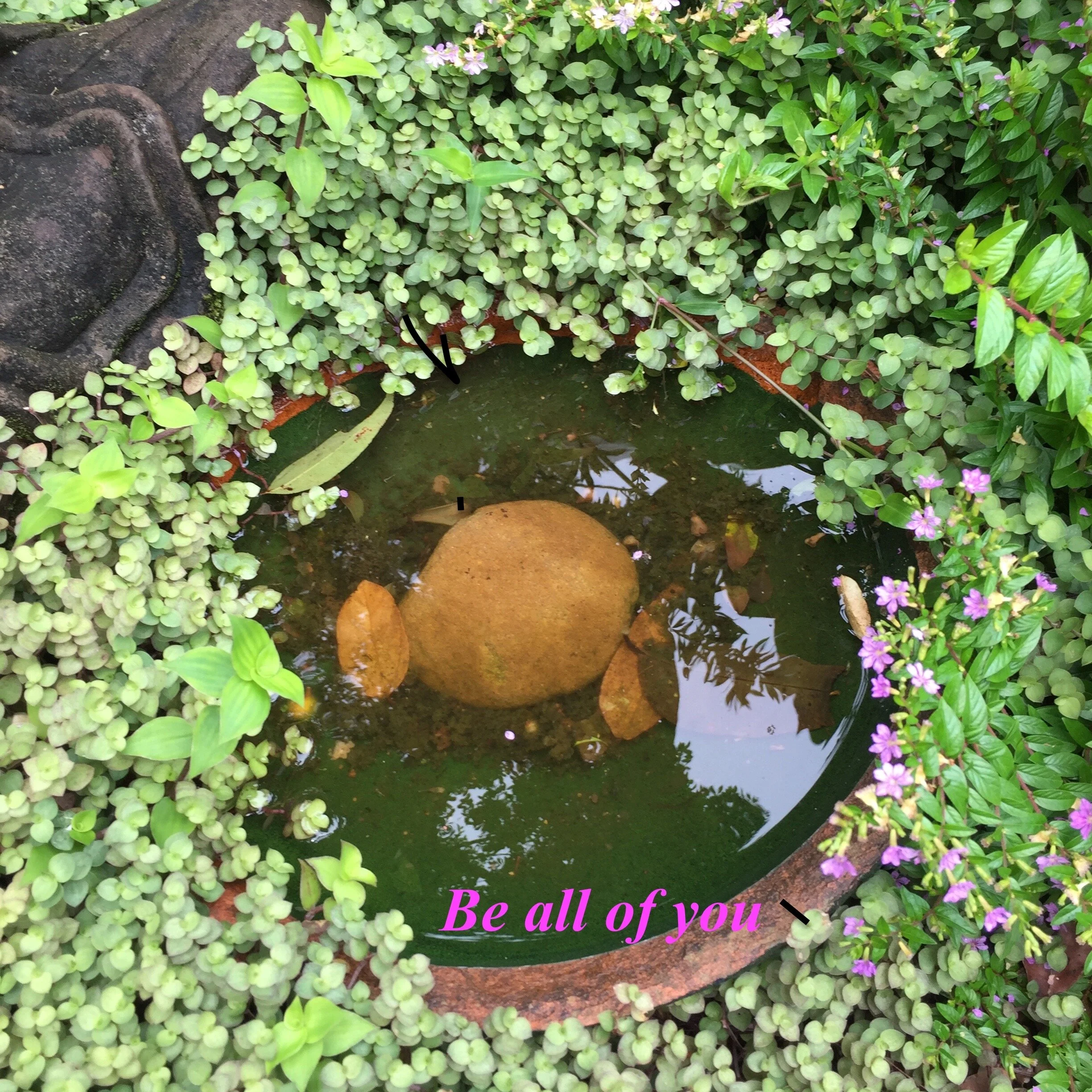 THOUGHTS ON MINDFULNESS MEDITATION