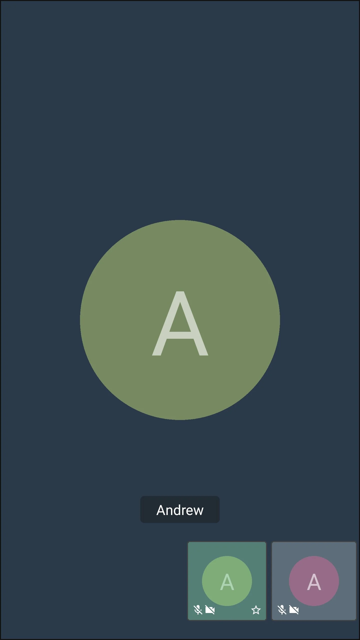 Screenshot_20200128-165709_Jitsi Meet.jpg