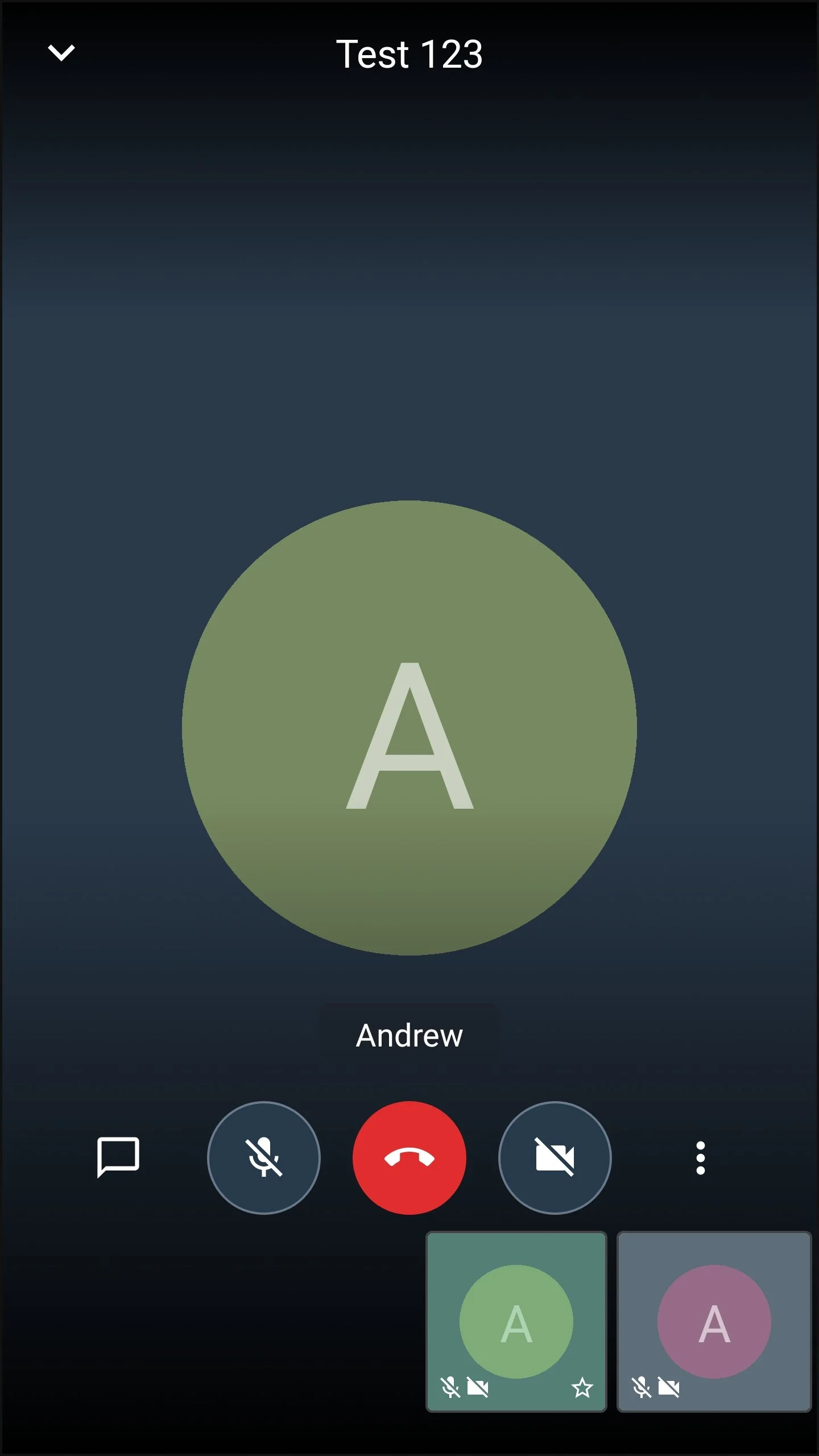 Screenshot_20200128-165716_Jitsi Meet.jpg