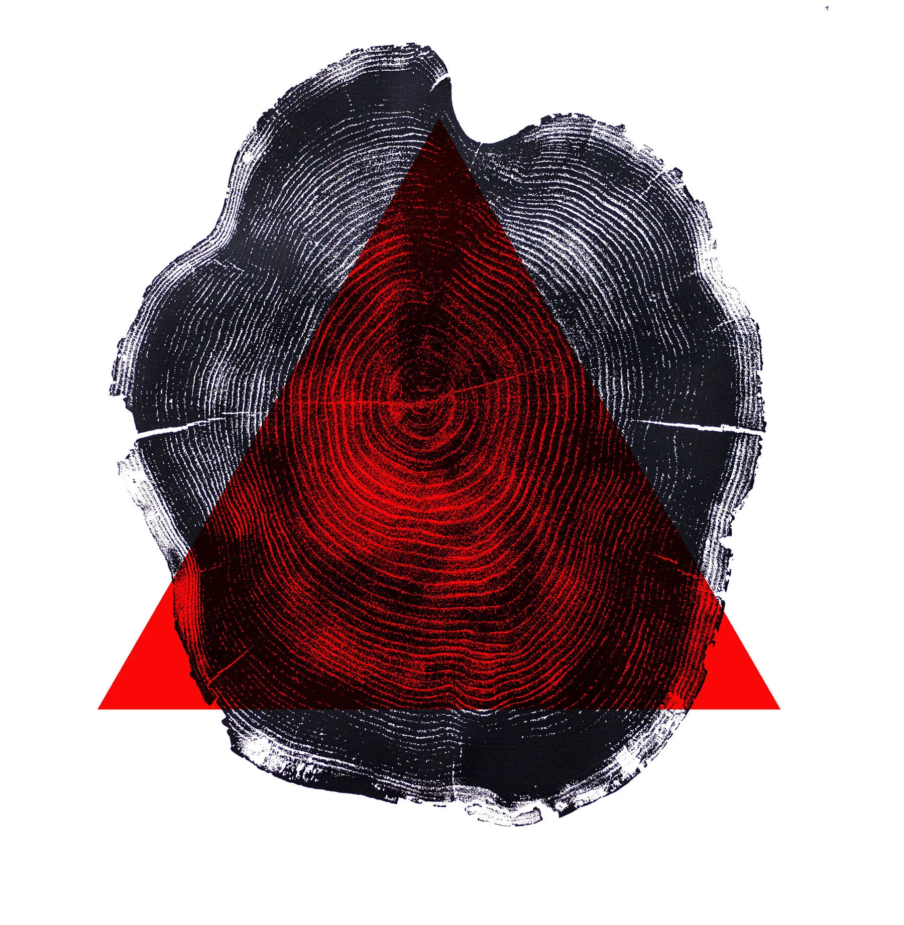 tree stumpprint.TRI.jpg