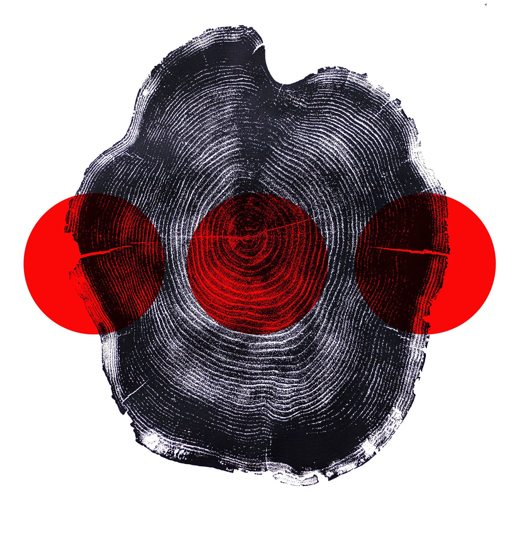 tree stumpprint.CIRCLES.jpg