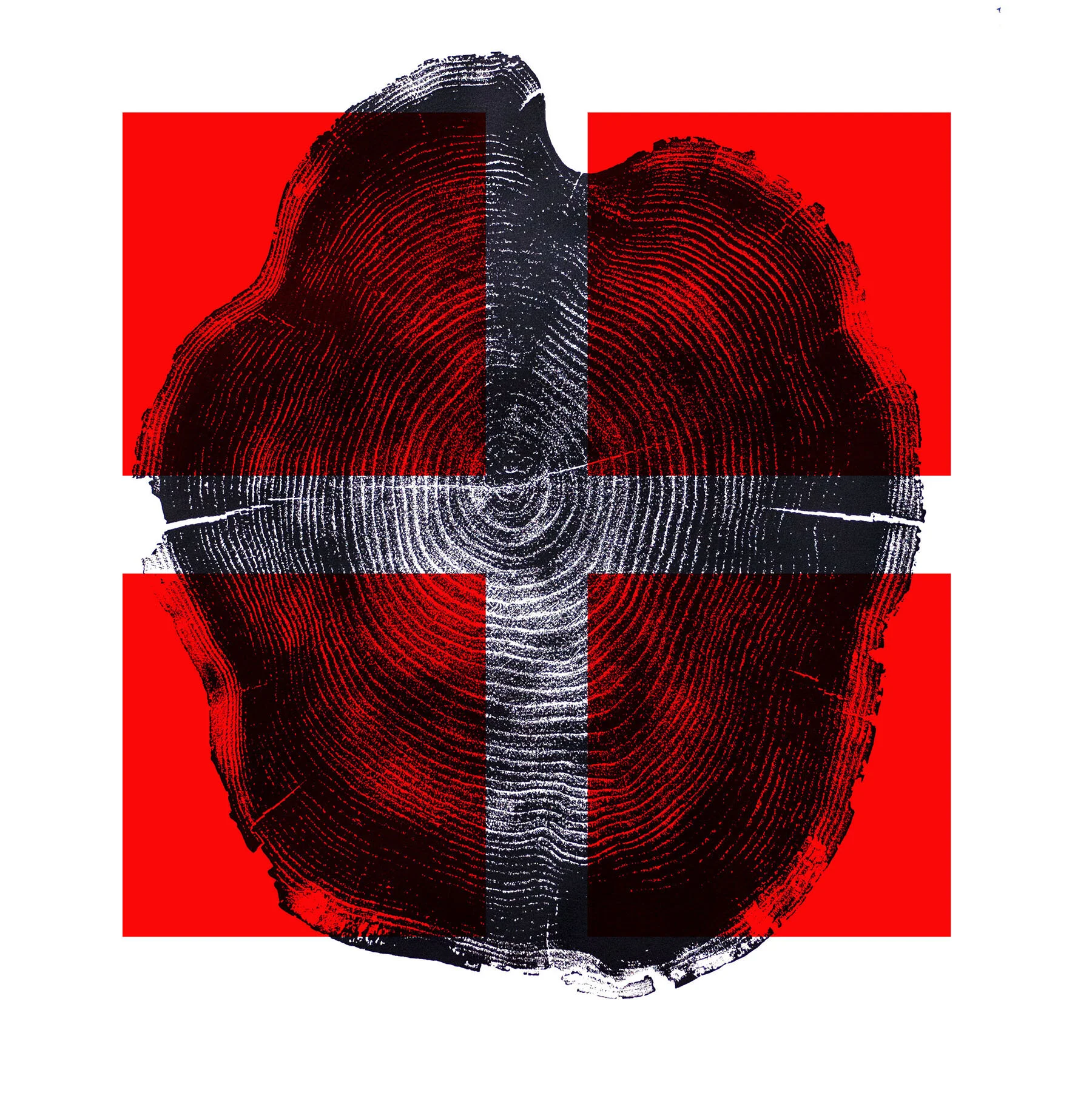 tree stumpprint.SQ.jpg