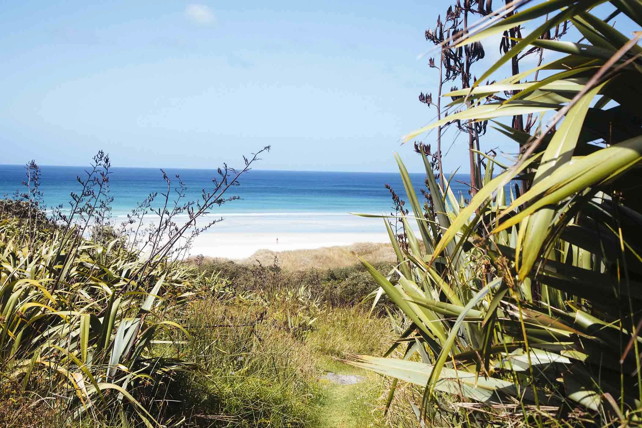Wharekapua-Beach-House-Rarawa-Beach-Kitchen-Northland-New-Zealand-walking-track.jpg.jpg