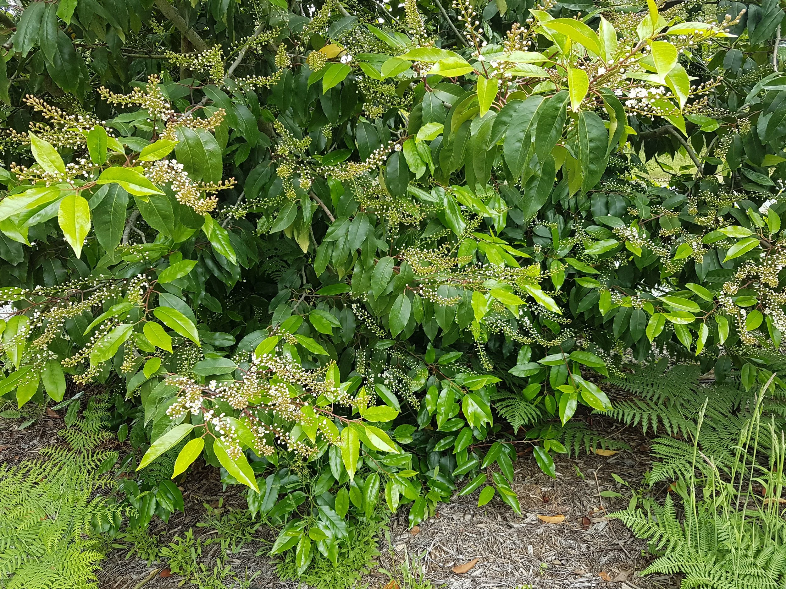 20190605_135040.jpg