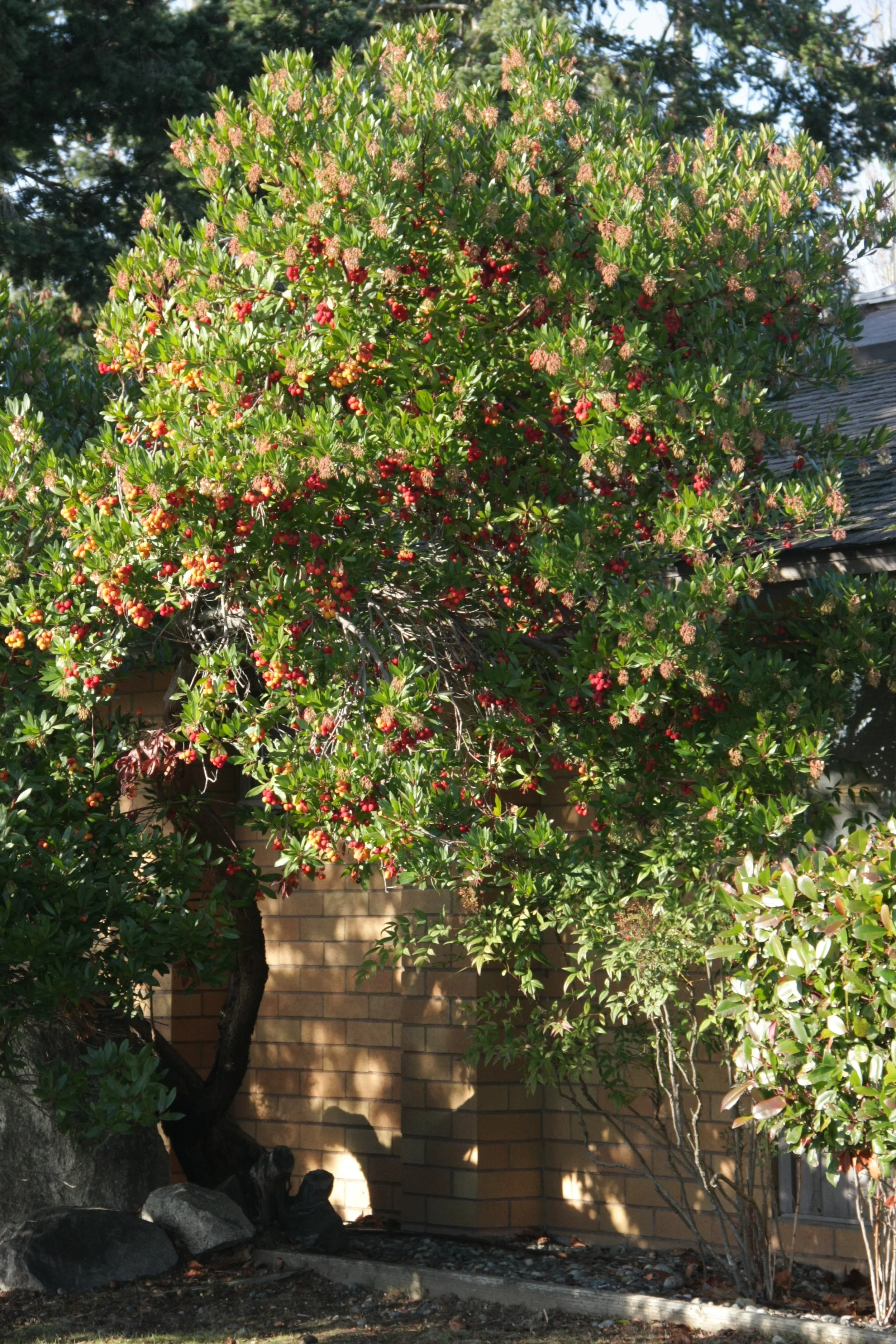 IMG_0818.JPG
