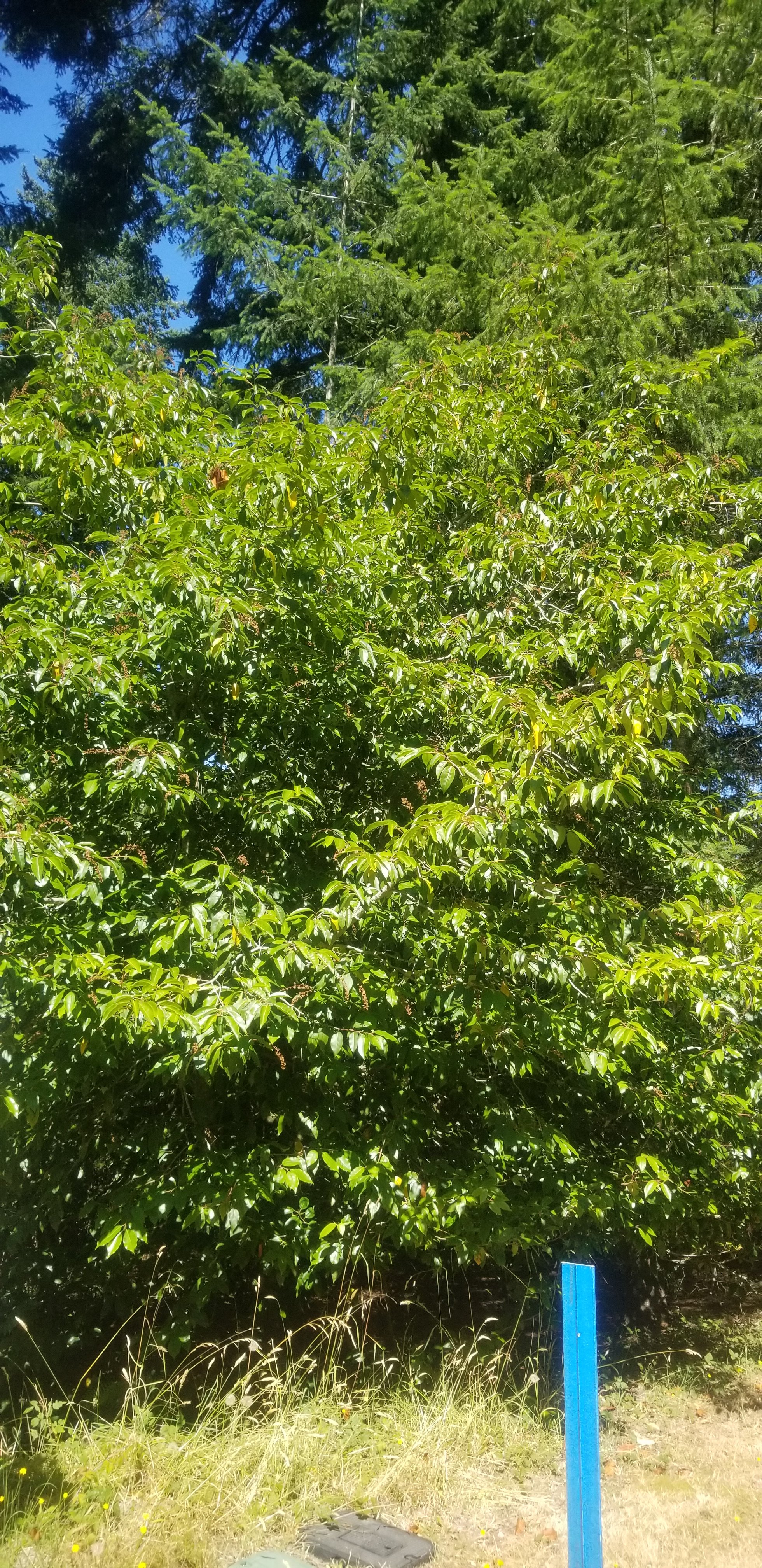 20250728_114055.jpg