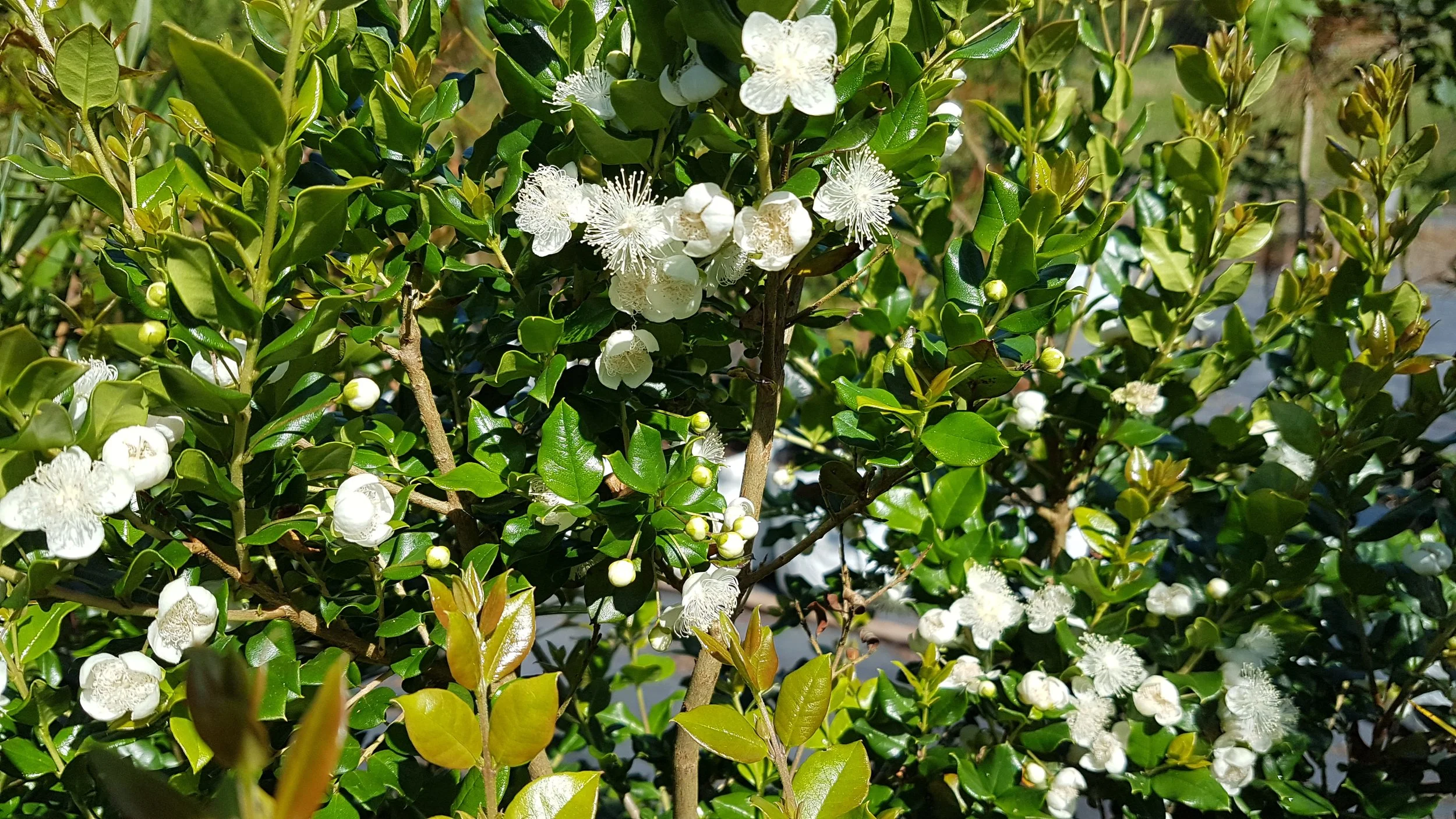 20190716_103734.jpg