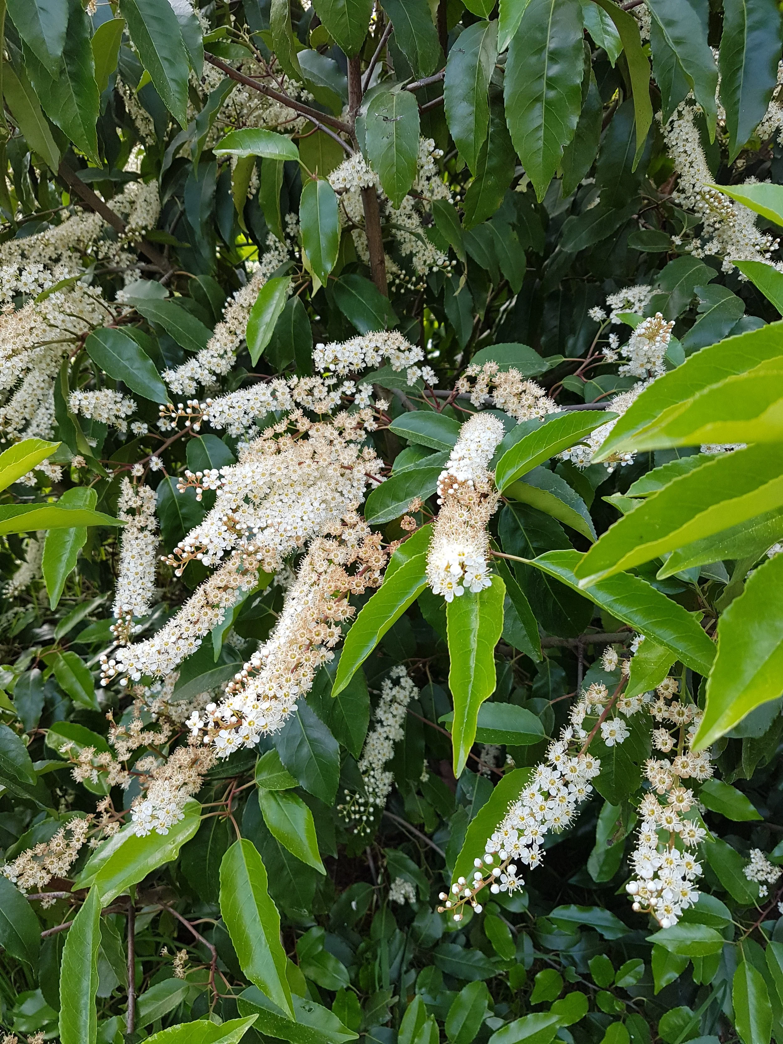 20190612_175347.jpg