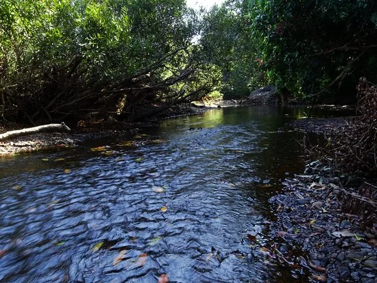 anshi national park karwar 7.jpg