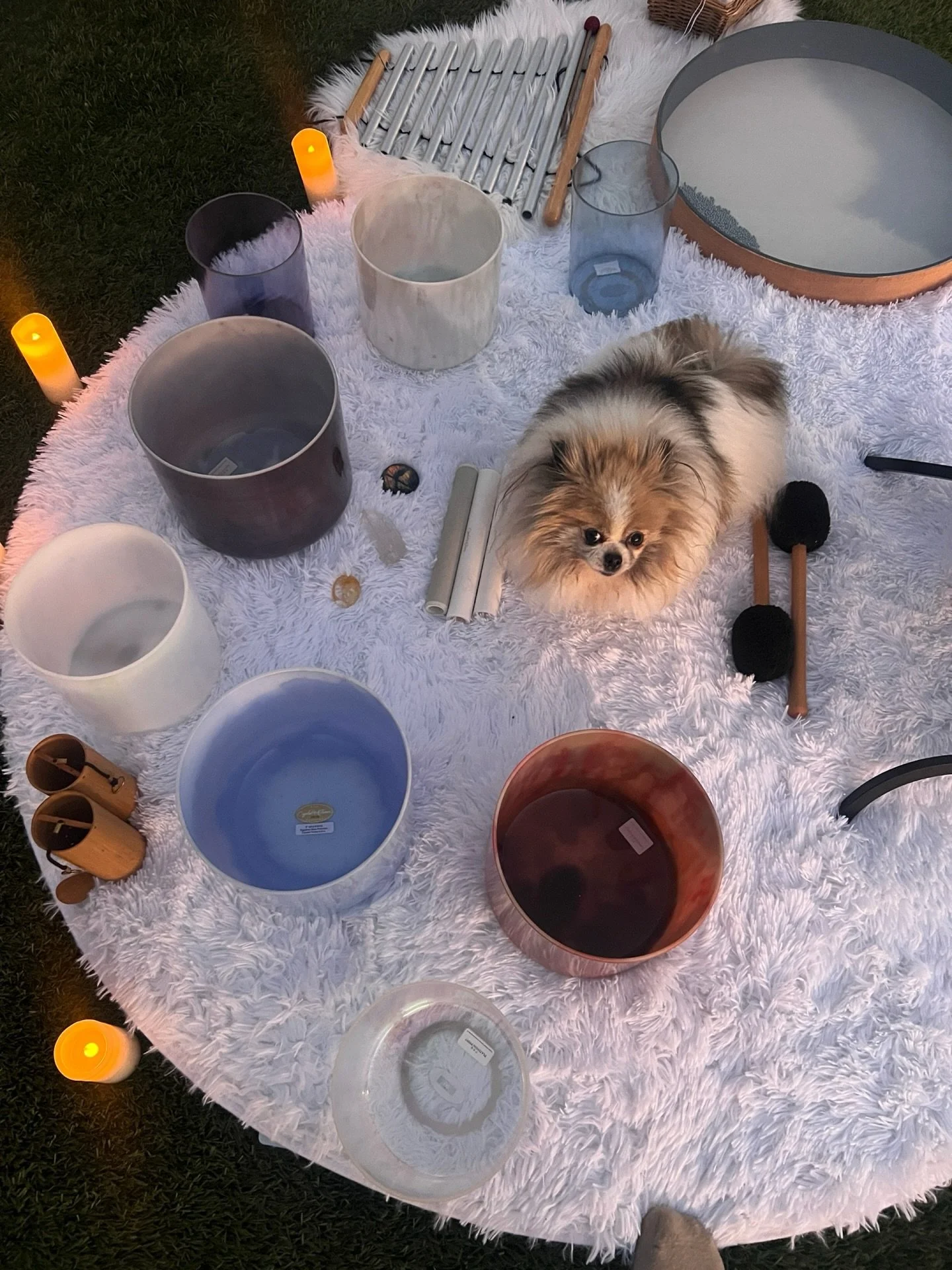 love when fur friends come to the sound party. 🎶

A little lovie in a recent sound bath all focus around flow and intuition. Curating the notes and sounds all starts with an intention. The intention for the group here was to connect deeply to rest, 