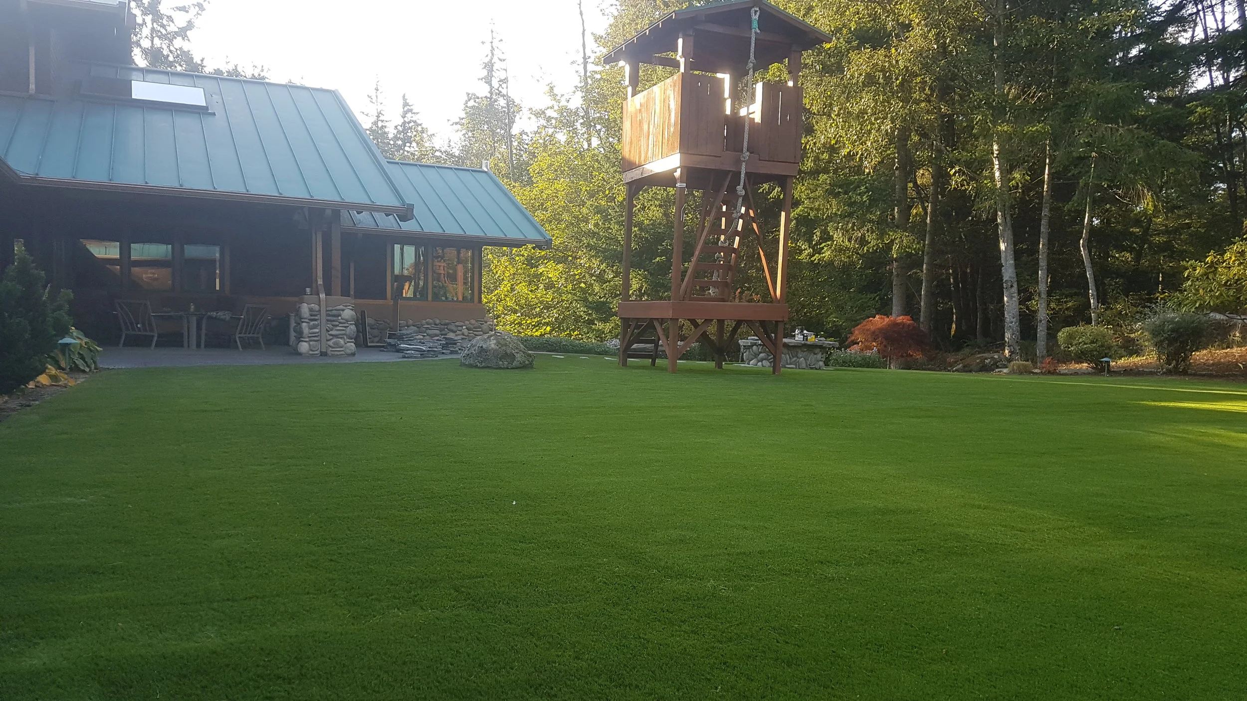 20180927_171829.jpg