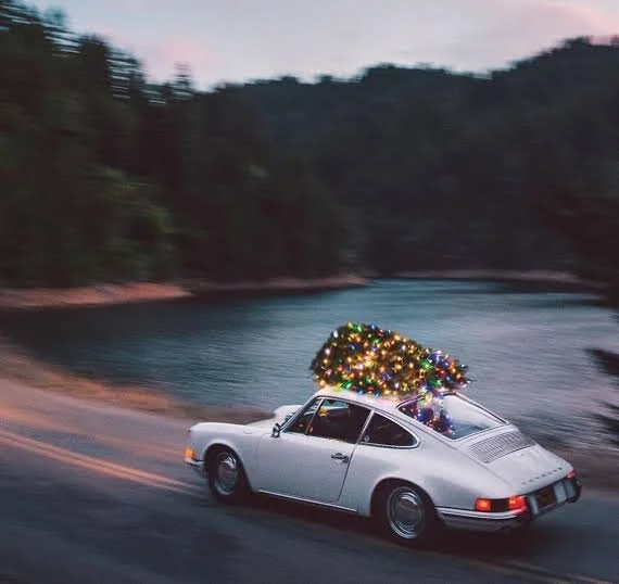 LET THE FESTIVITIES BEGIN