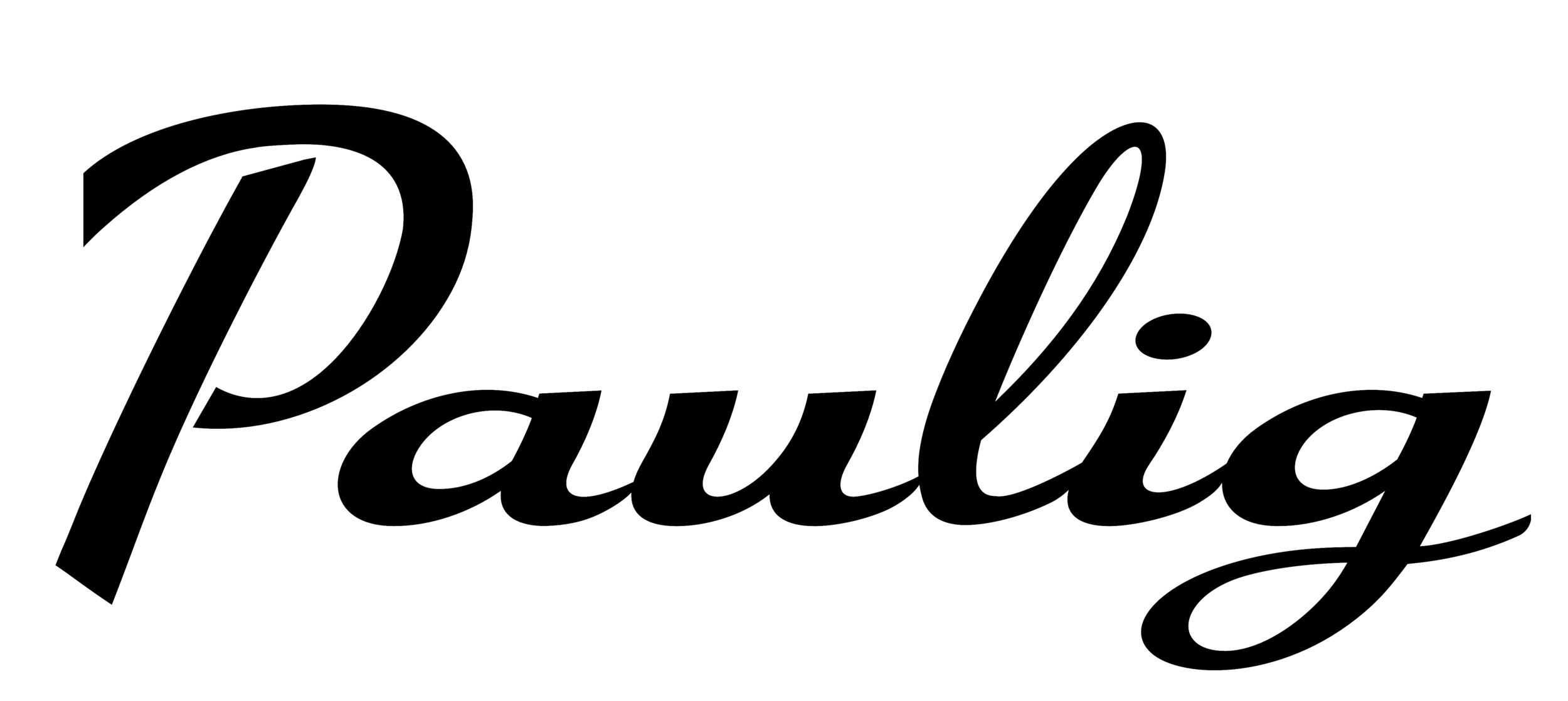 Paulig_logo_transparent_bg.png