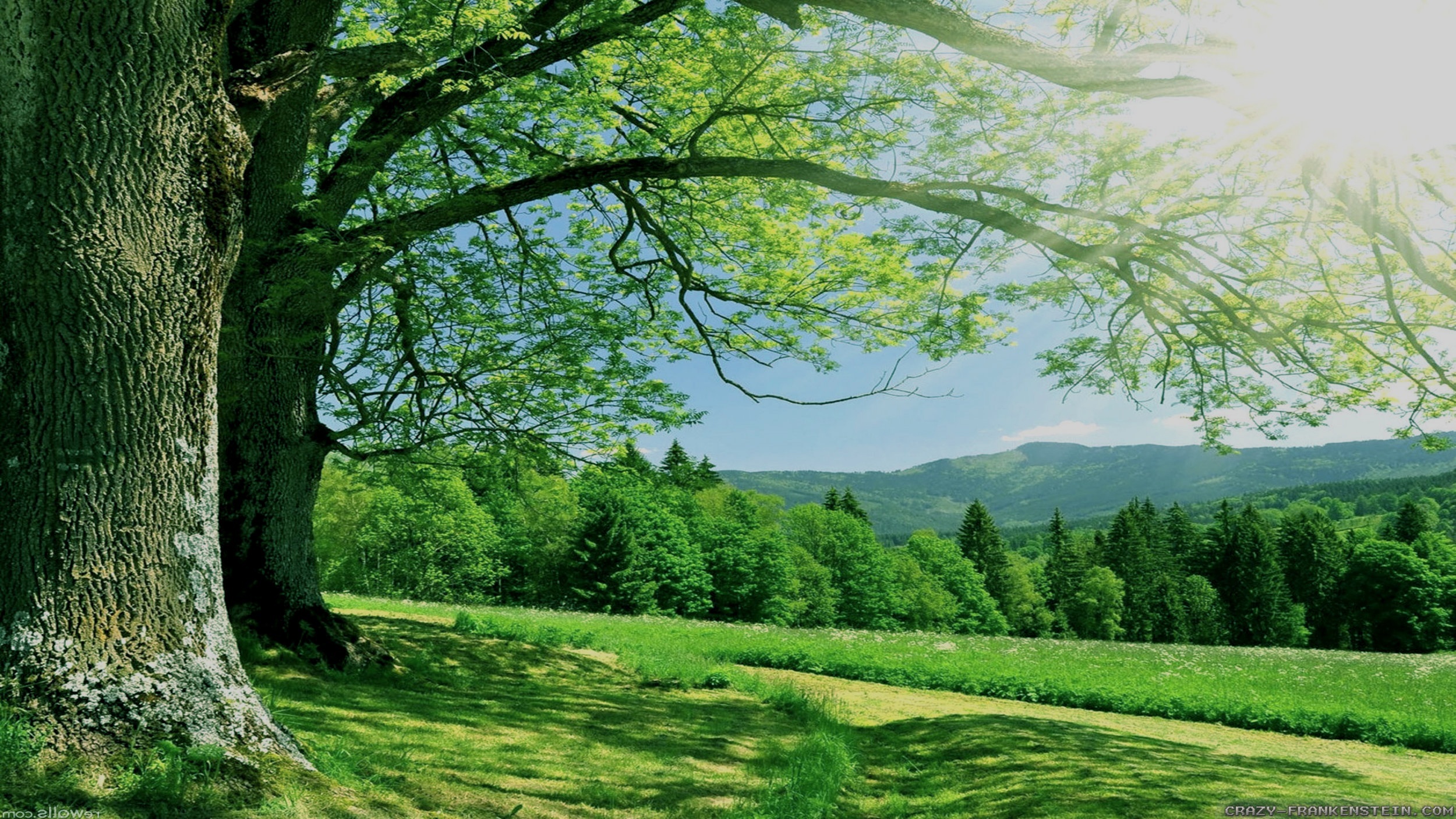 FEEL GOOD MEDITATION