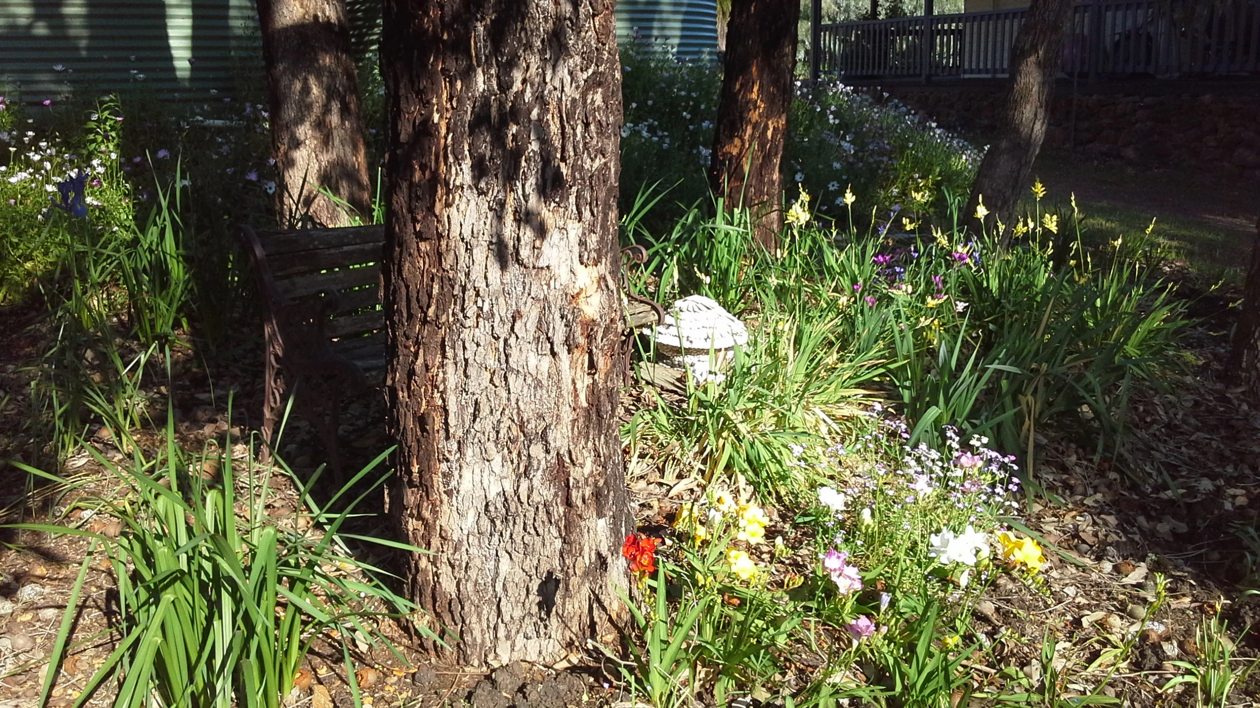 20180924_081026[1].jpg