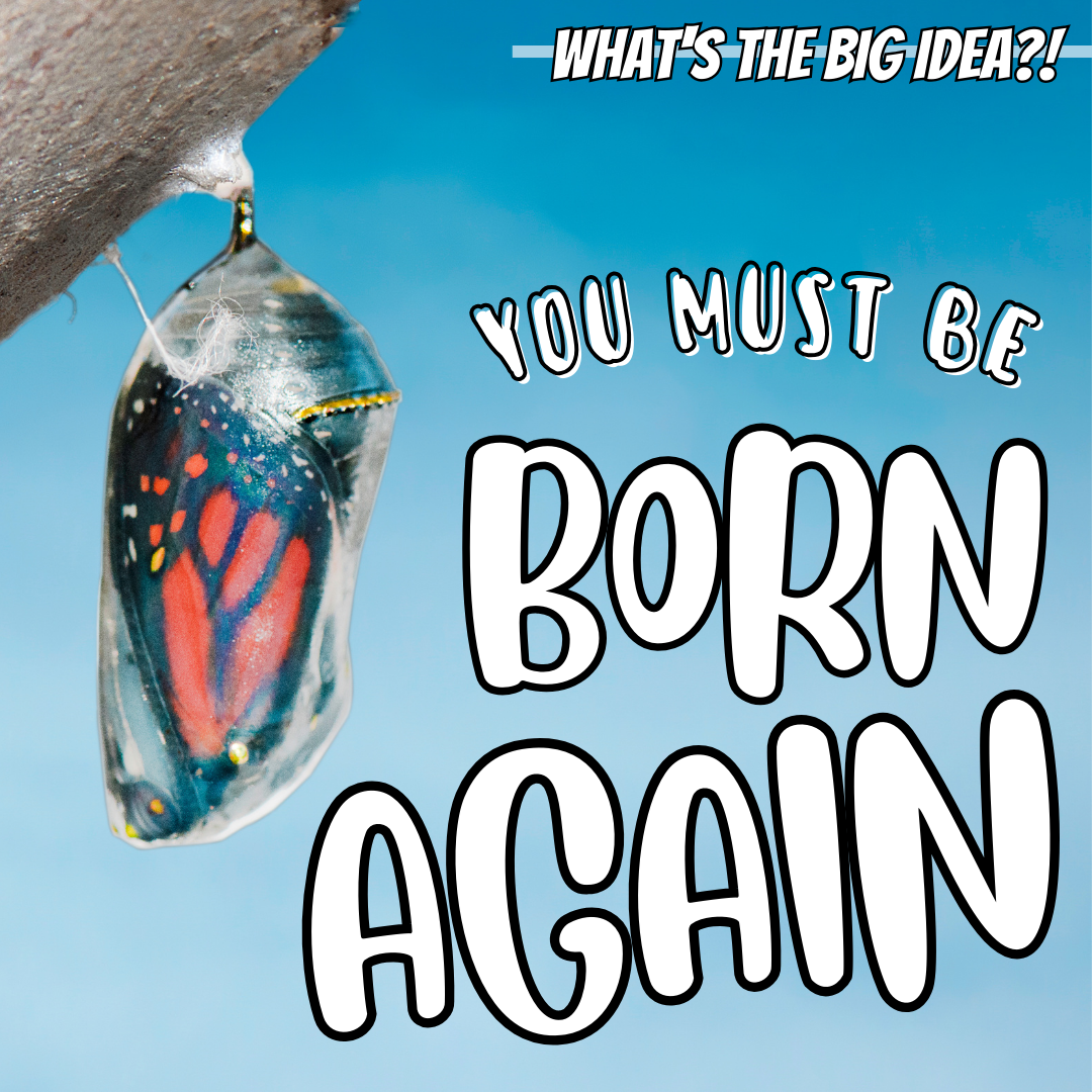 POST - YOU MUST BE BORN AGAIN.png