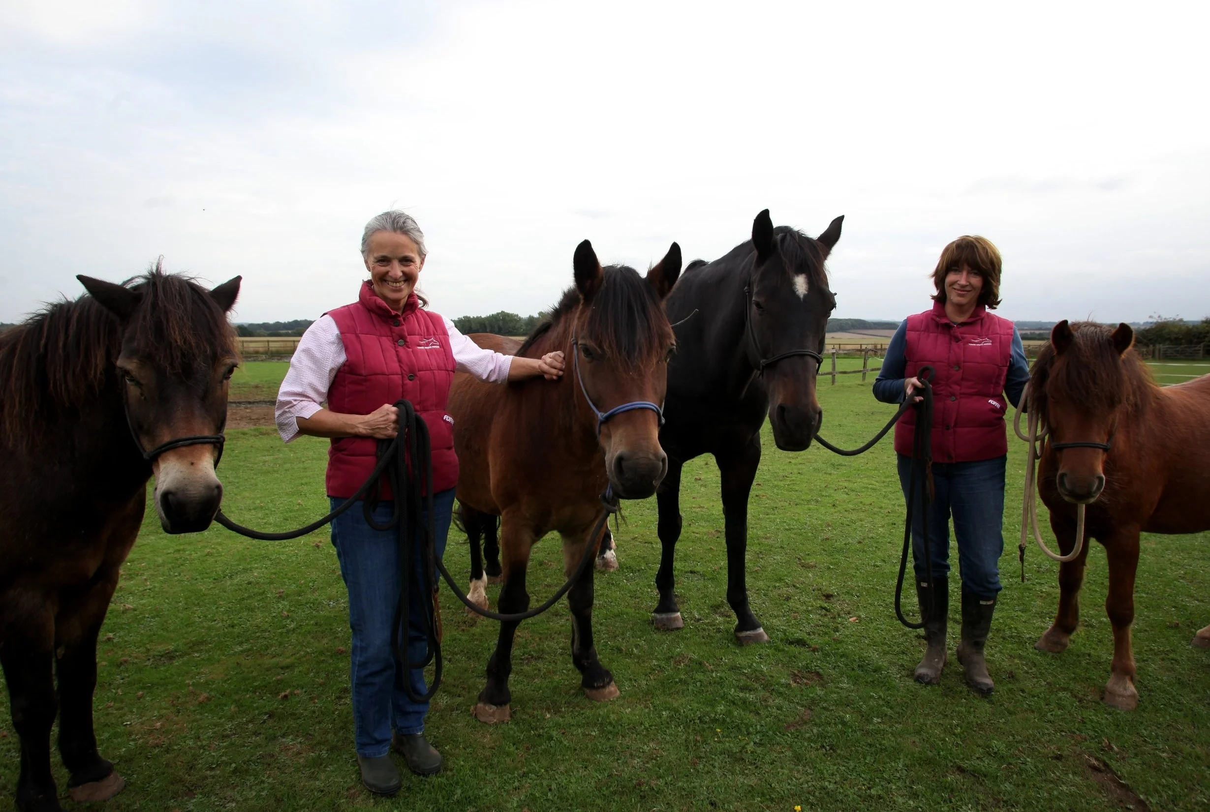 About us — Tower House Horses