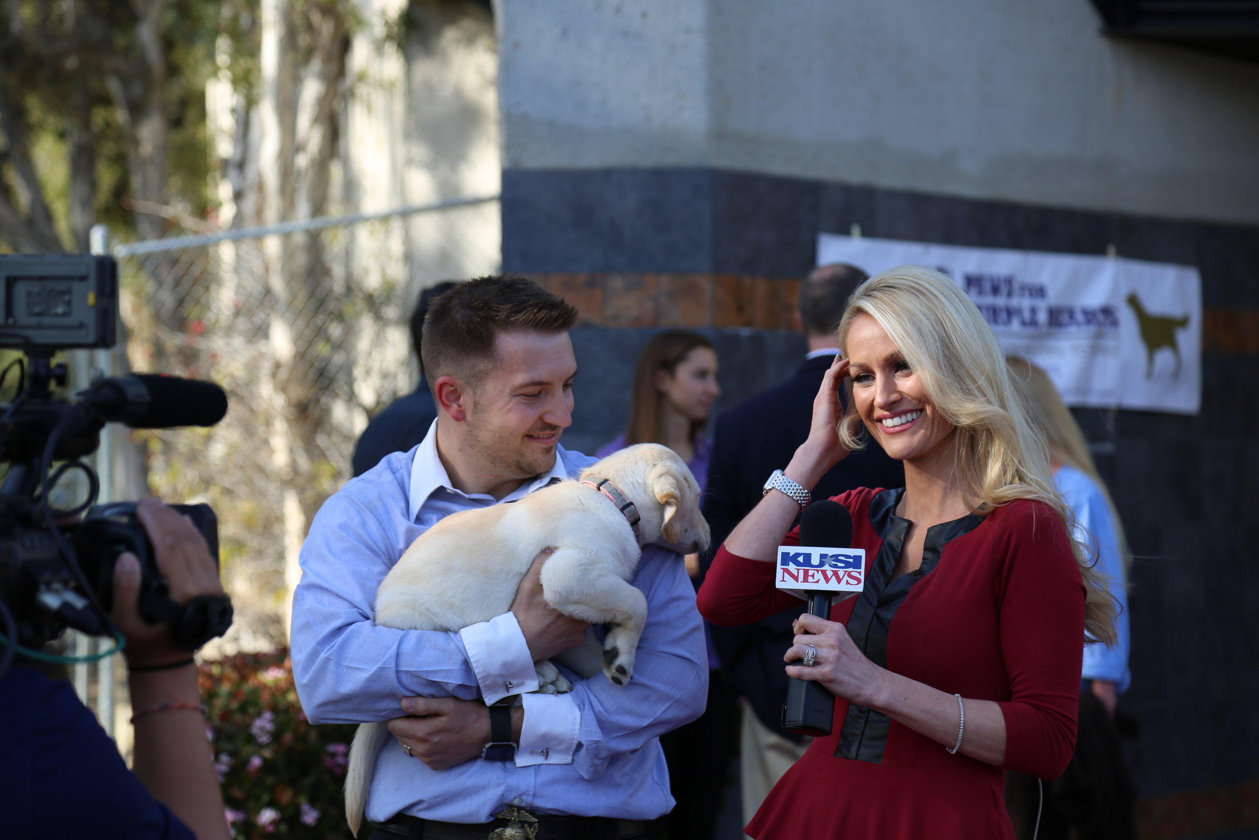 KUSI Interview Paws Purple Hearts Matt.jpg