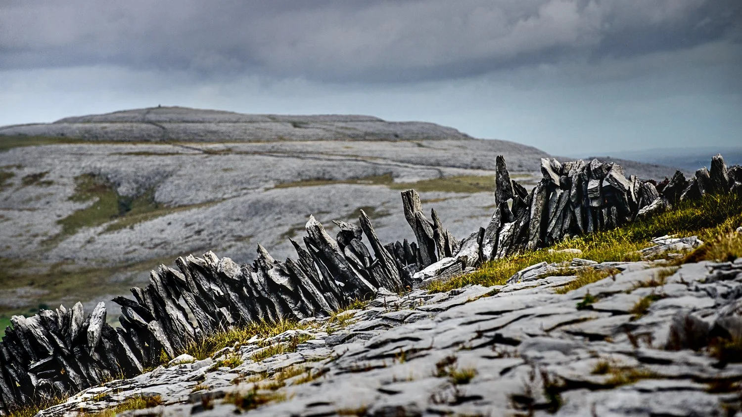 An isolated dry-stone wall on Abbey Hill in the Burren, Ireland, with the foreground and background softly out of focus