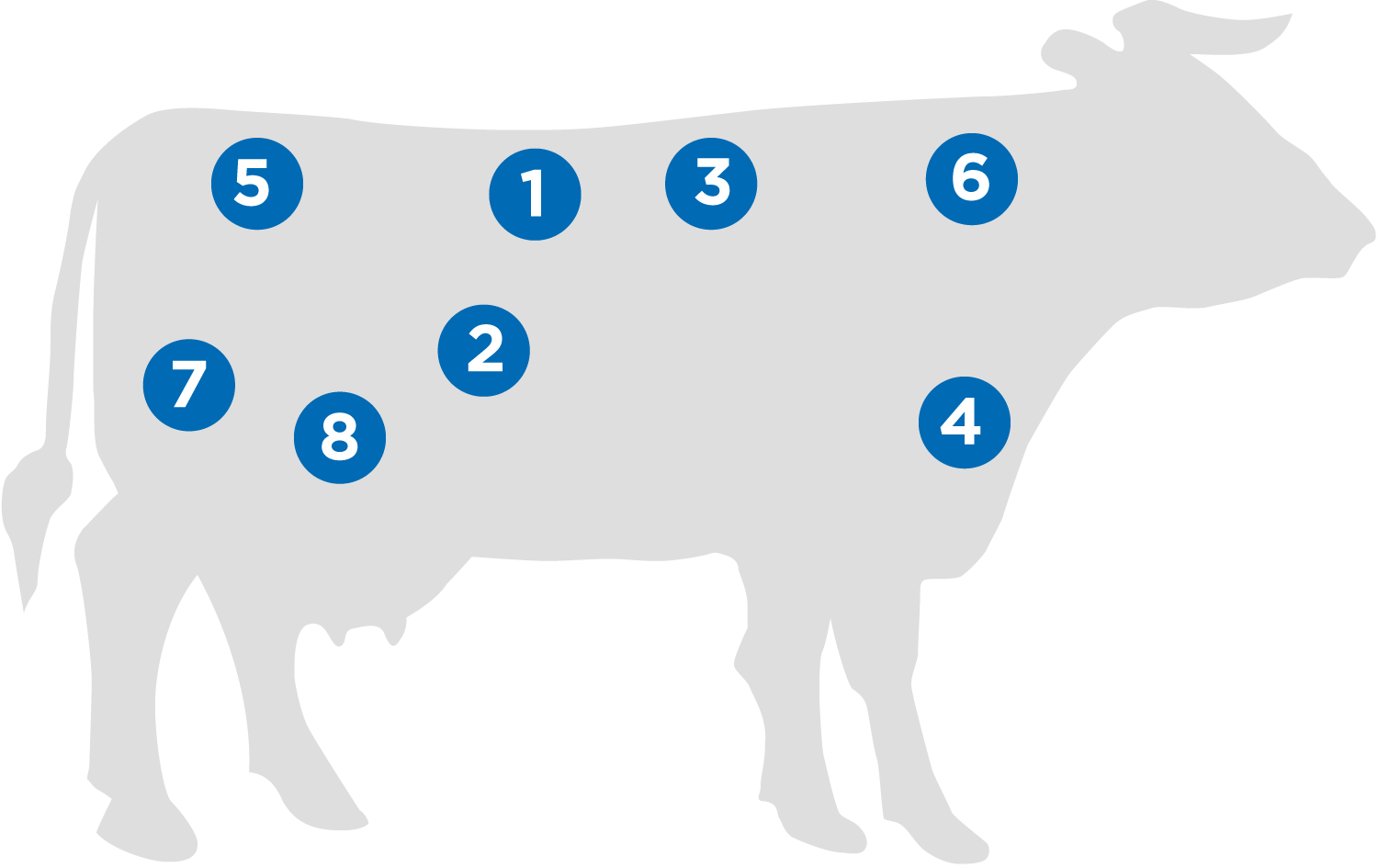 beef.png