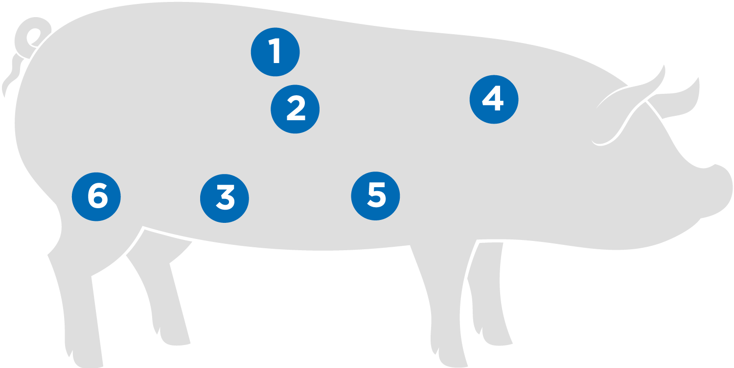pork.png